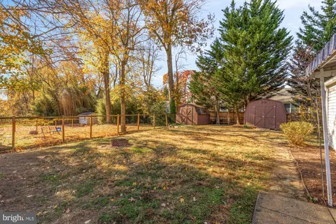 a view of yard with tree