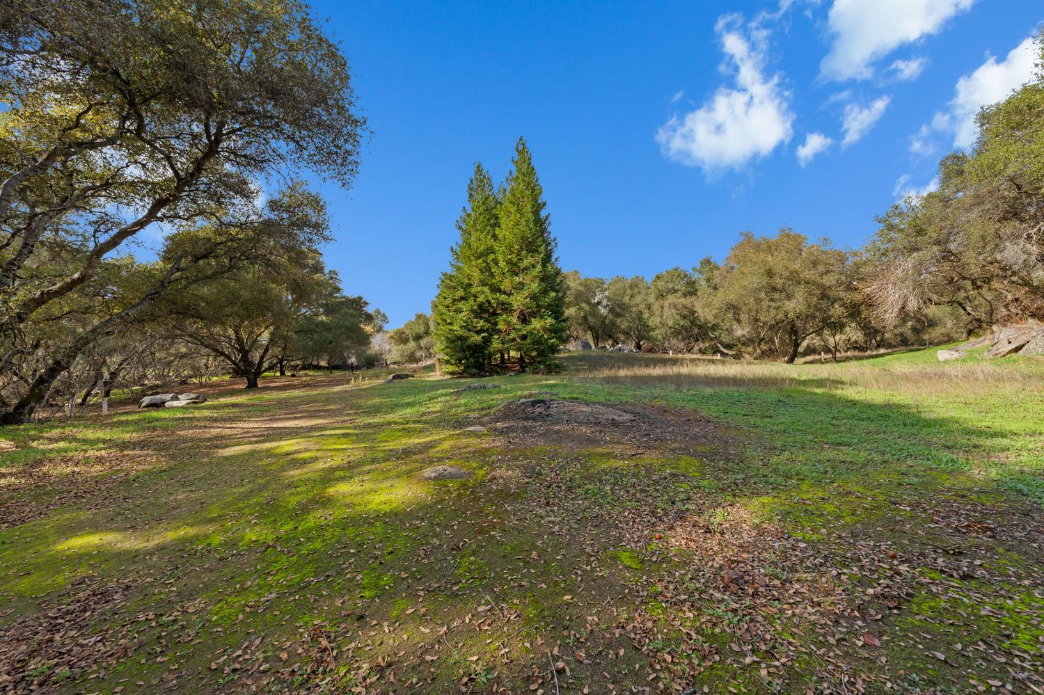 7125 Loomis Hills Road Loomis, CA 95650 - Photo 79 of 89