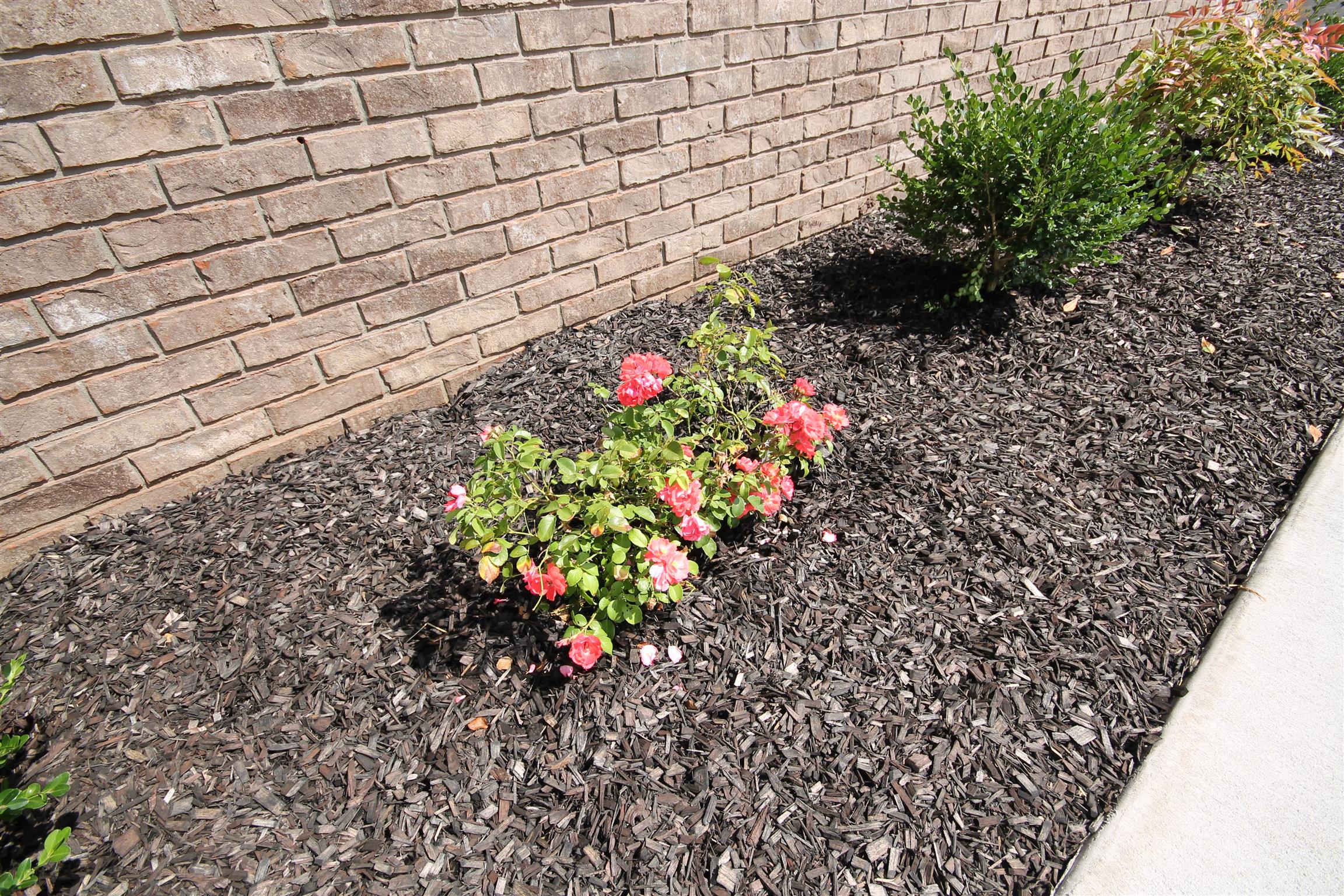 900 Rutherford Lane Columbia, TN 38401 - Photo 3 of 25 Gallery Image 3