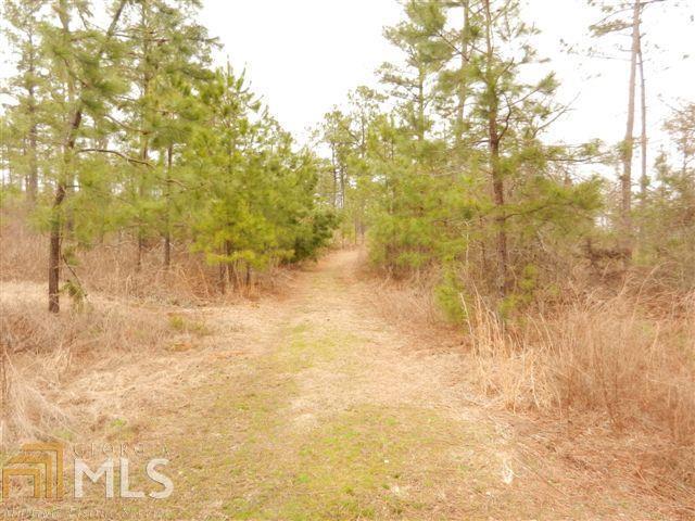 17.5 Hagans Mt Road Meansville, GA 30256 - Photo 1 of 1