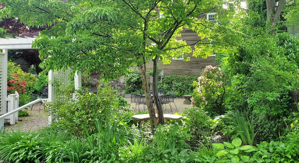 9 Hanover Court, Unit 1 Marblehead, MA 01945 - Photo 35 of 38 a view of a garden with large trees