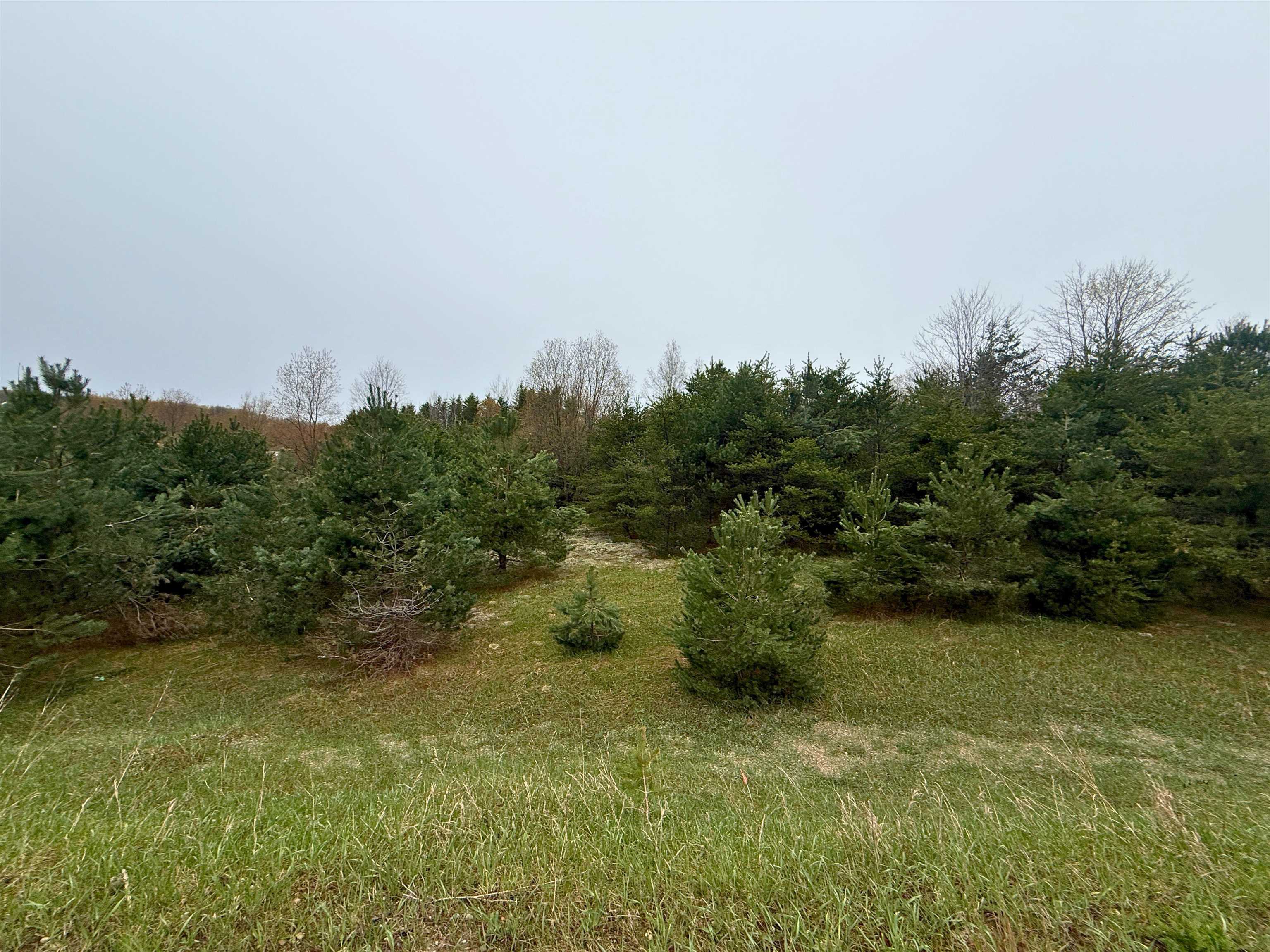 0 West County Line Road, Unit LOT: C Thompsonville, MI 49683 - Photo 10 of 21