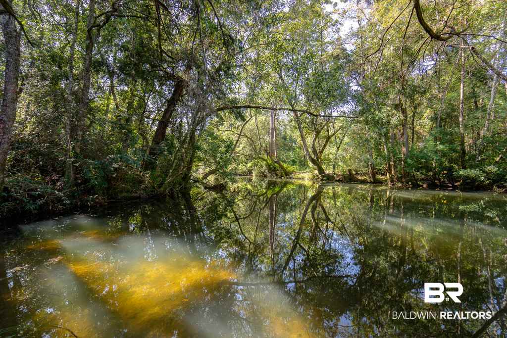18694 Cedar Drive Foley, AL 36535 - Photo 20 of 21 Great Kayaking Spot