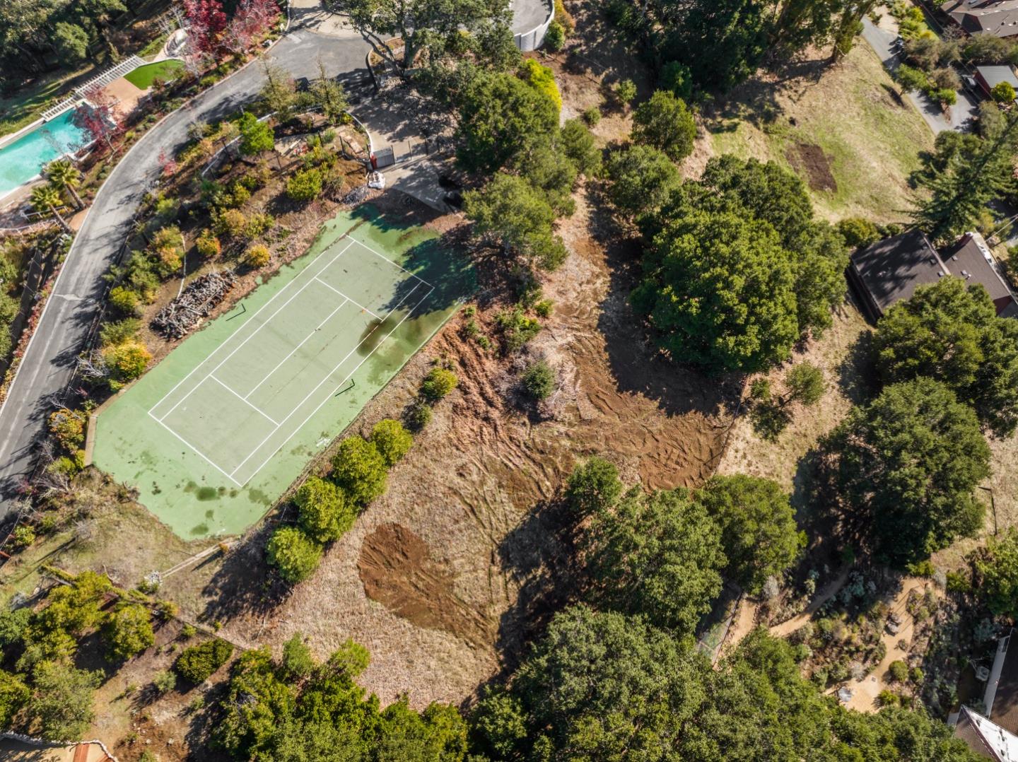 a view of a tree with a yard