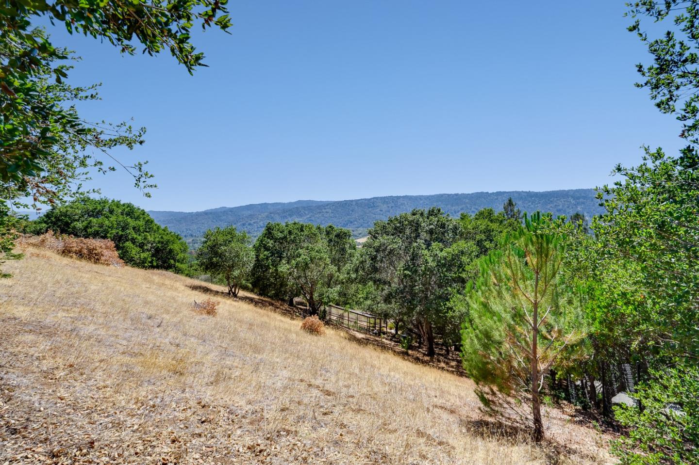 2 Summit Way Woodside, CA 94062 - Photo 11 of 16 a view of a field with plants and trees