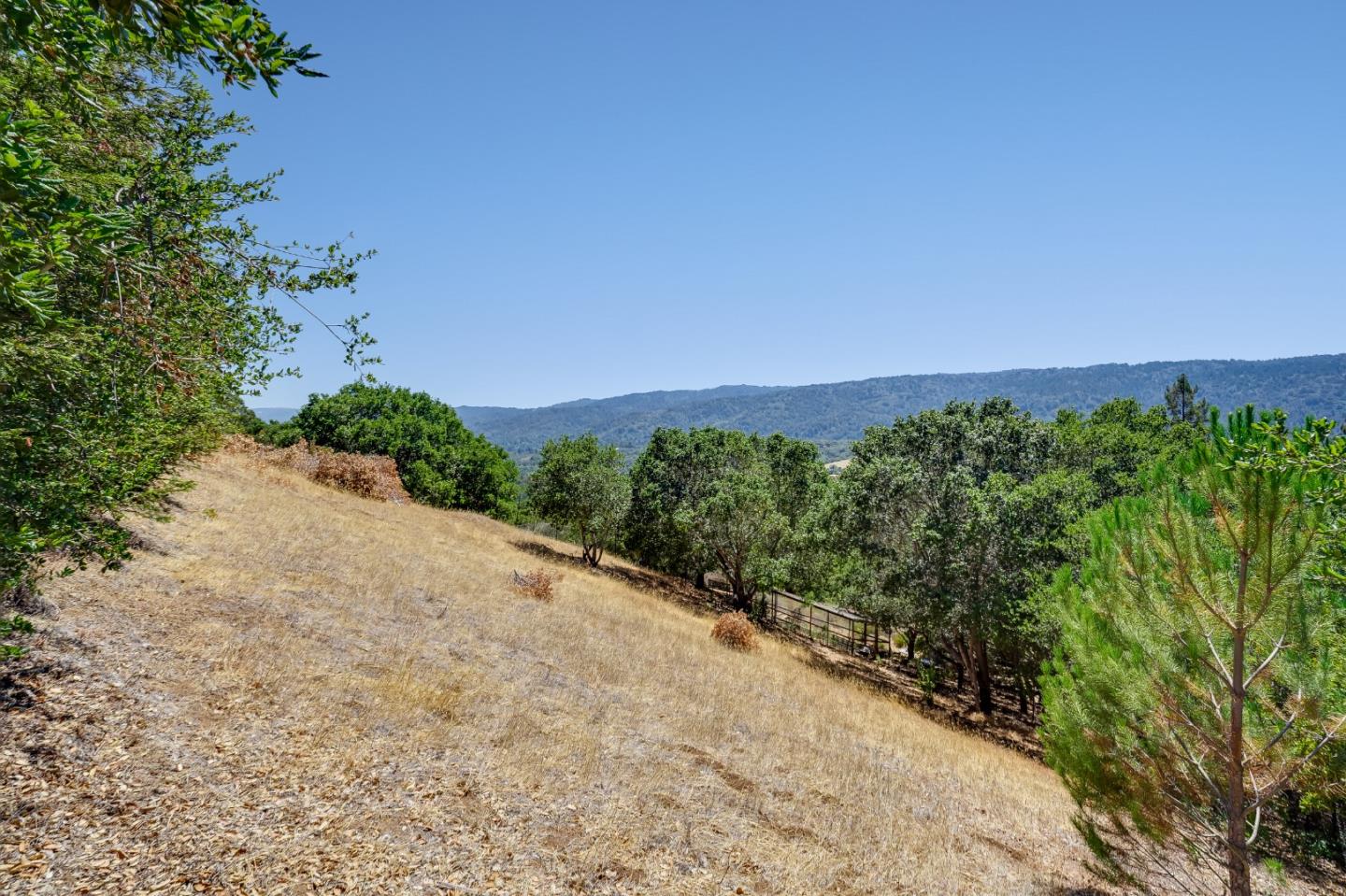 2 Summit Way Woodside, CA 94062 - Photo 14 of 16 a view of a field with plants and trees