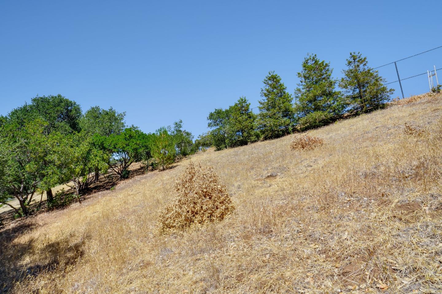 2 Summit Way Woodside, CA 94062 - Photo 16 of 16 a view of a dry yard with trees in the background