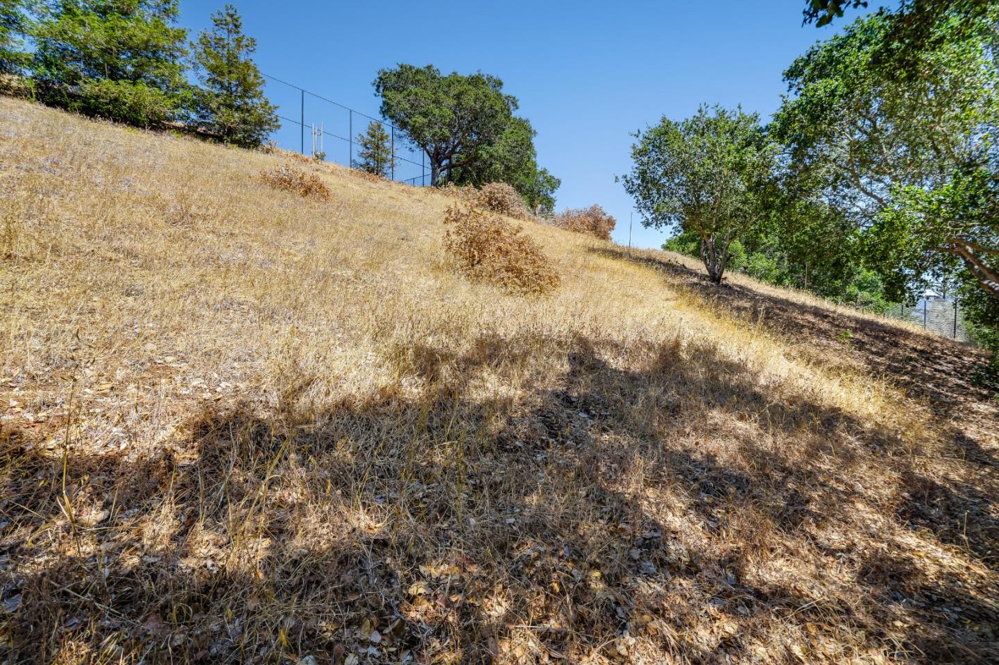 2 Summit Way Woodside, CA 94062 - Photo 9 of 16 a view of a dry yard with trees in the background