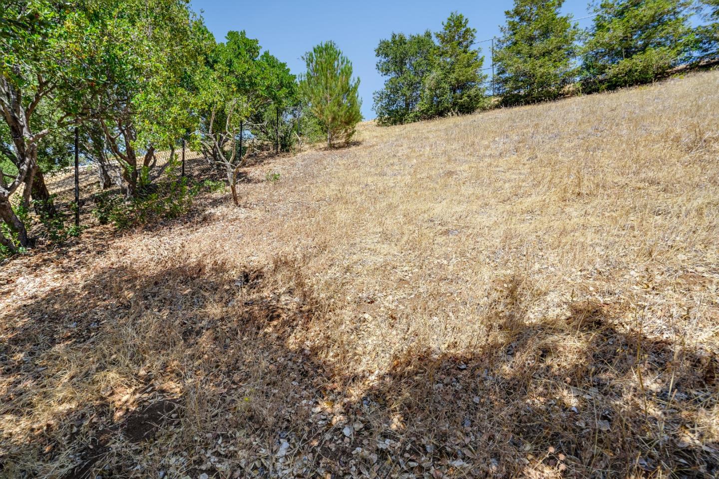 2 Summit Way Woodside, CA 94062 - Photo 10 of 16 a view of a dry yard with trees in the background