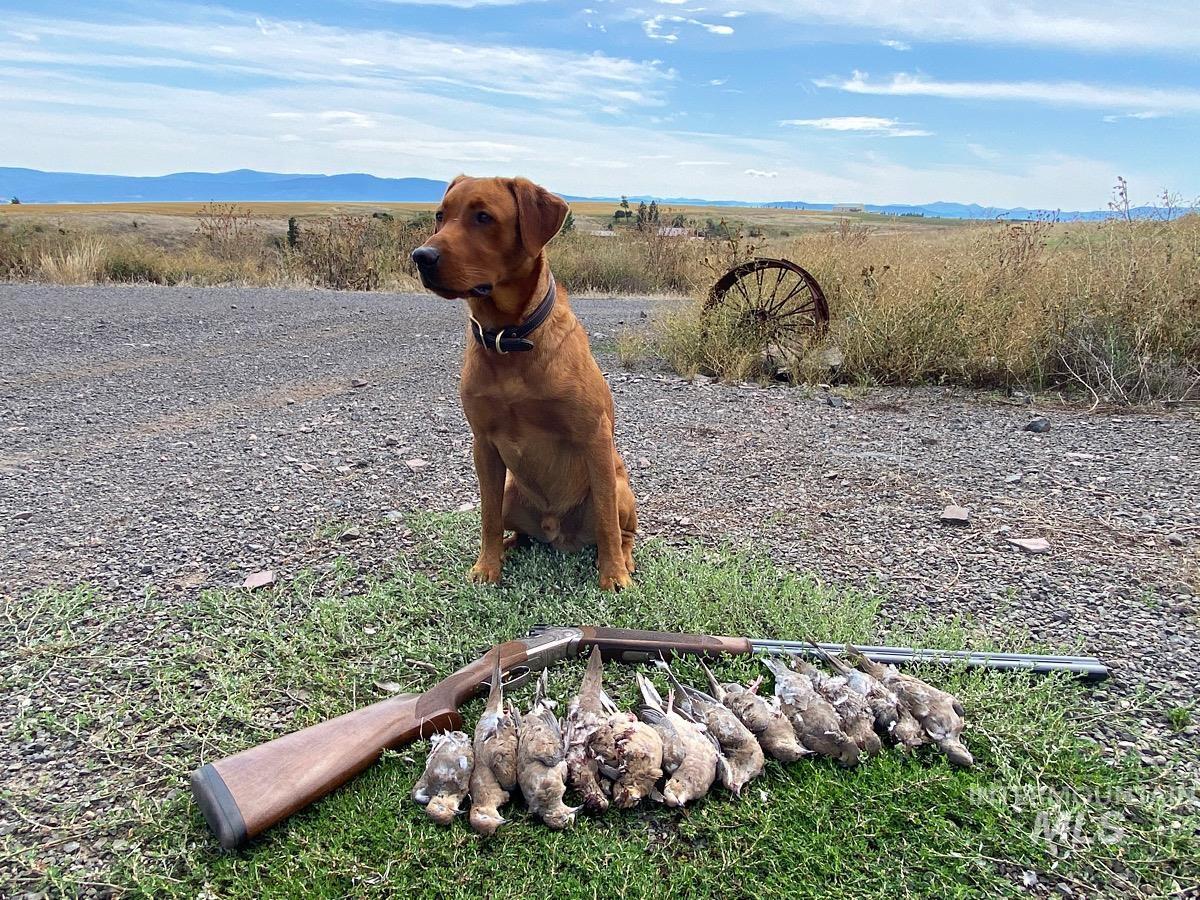 141 Scotlyn Rnch Road Kamiah, ID 83536 - Photo 21 of 24