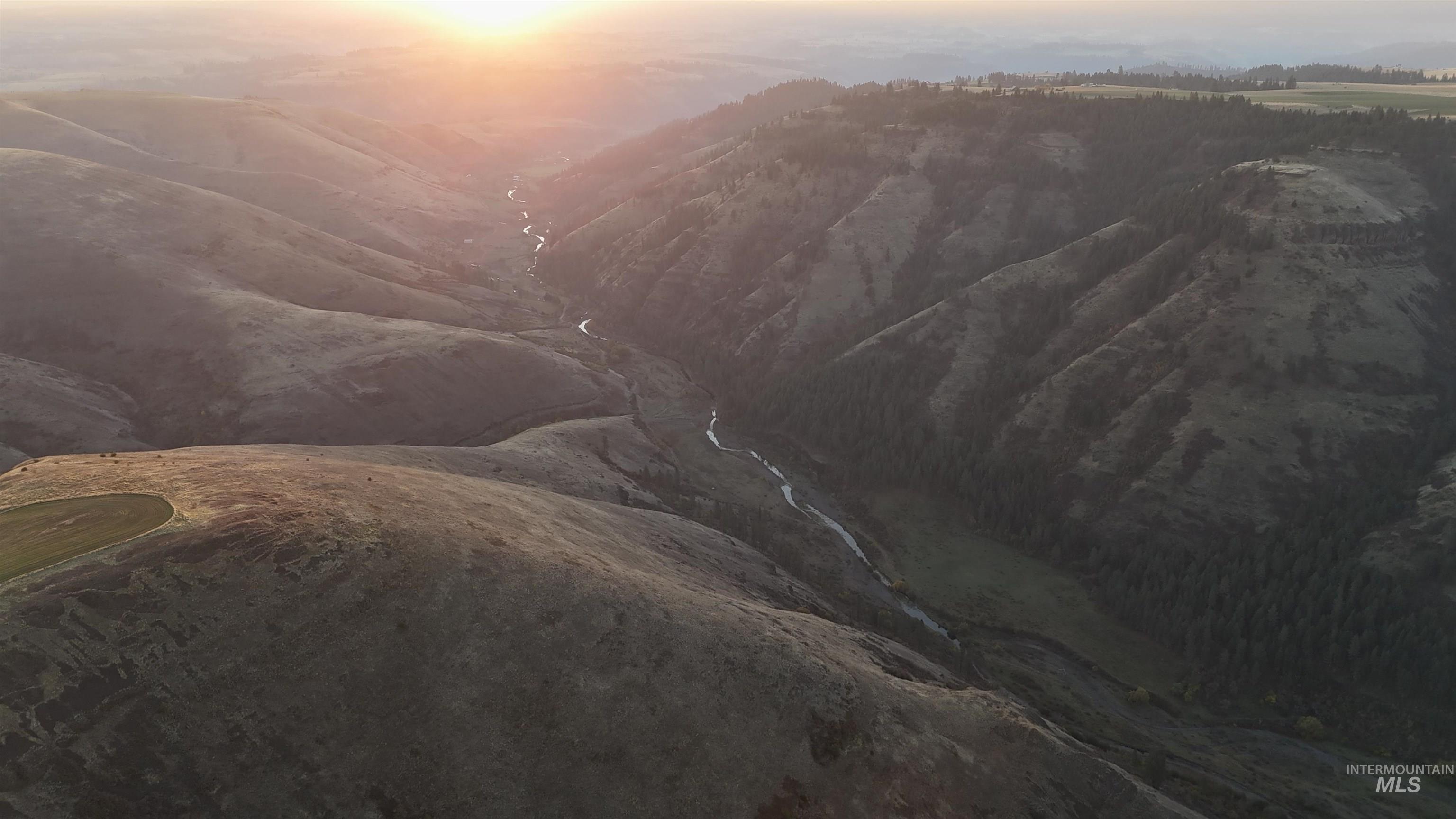 141 Scotlyn Rnch Road Kamiah, ID 83536 - Photo 3 of 24