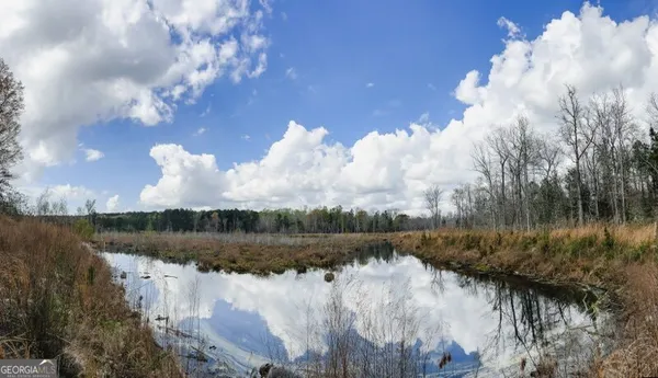 a view of a forest with trees in front of it