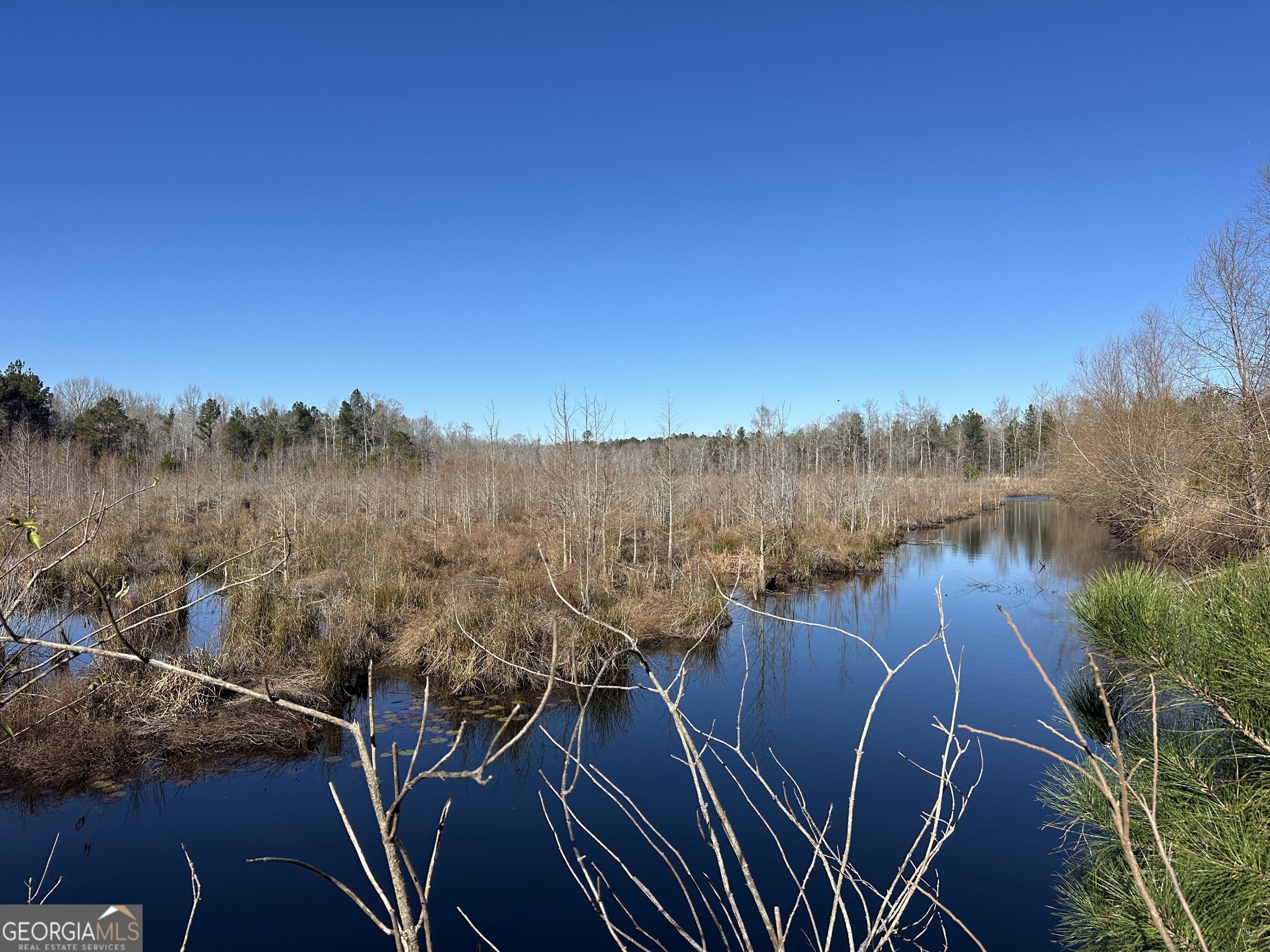 0 Hiltonia-Perkins Road Sylvania, GA 30467 - Photo 11 of 26 a view of a yard with iron fence