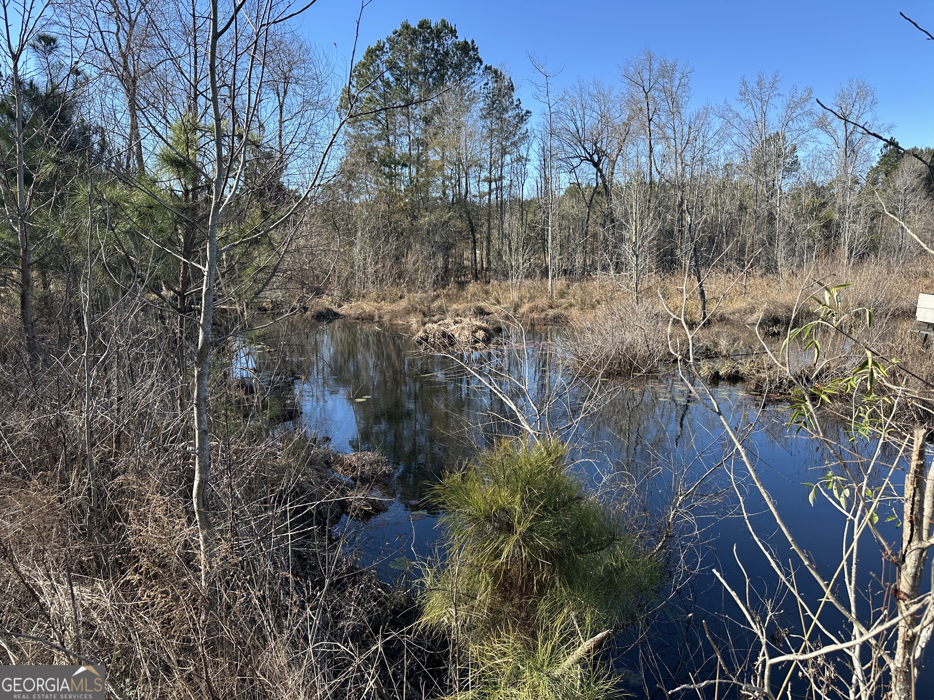 0 Hiltonia-Perkins Road Sylvania, GA 30467 - Photo 12 of 26 a view of a house with a yard