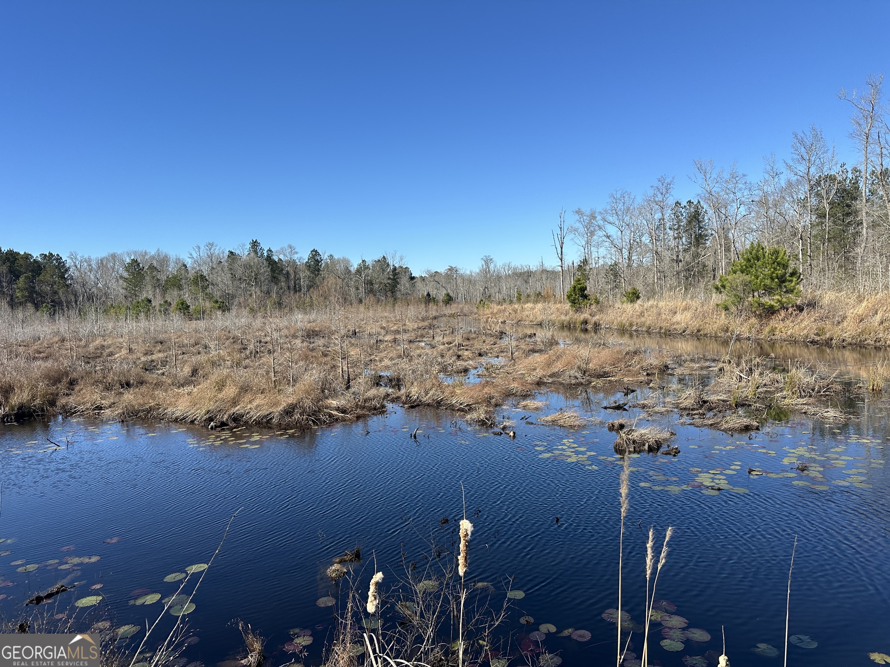0 Hiltonia-Perkins Road Sylvania, GA 30467 - Photo 13 of 26 a view of lake and mountain