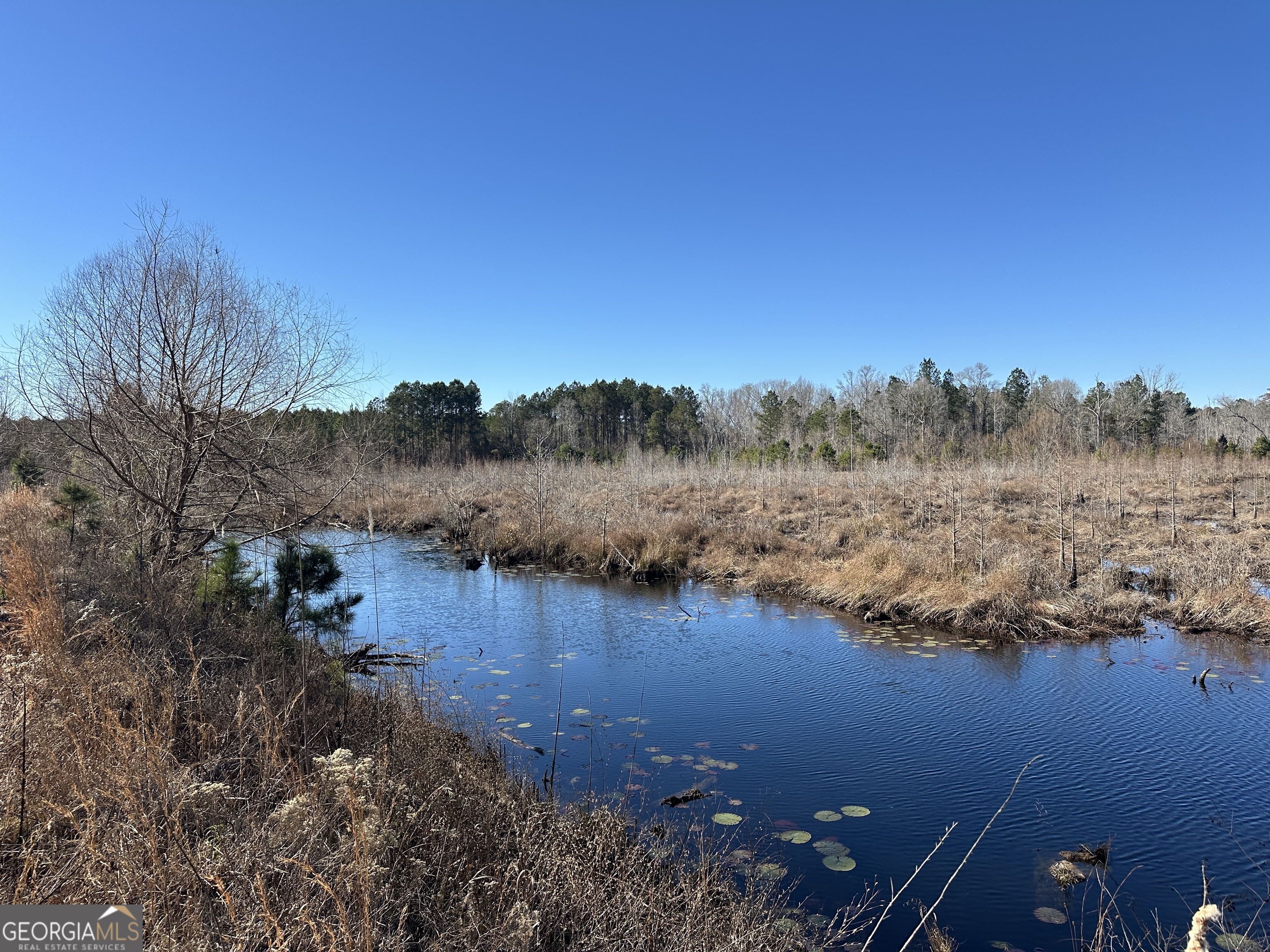 0 Hiltonia-Perkins Road Sylvania, GA 30467 - Photo 14 of 26 a view of mountain with lake view