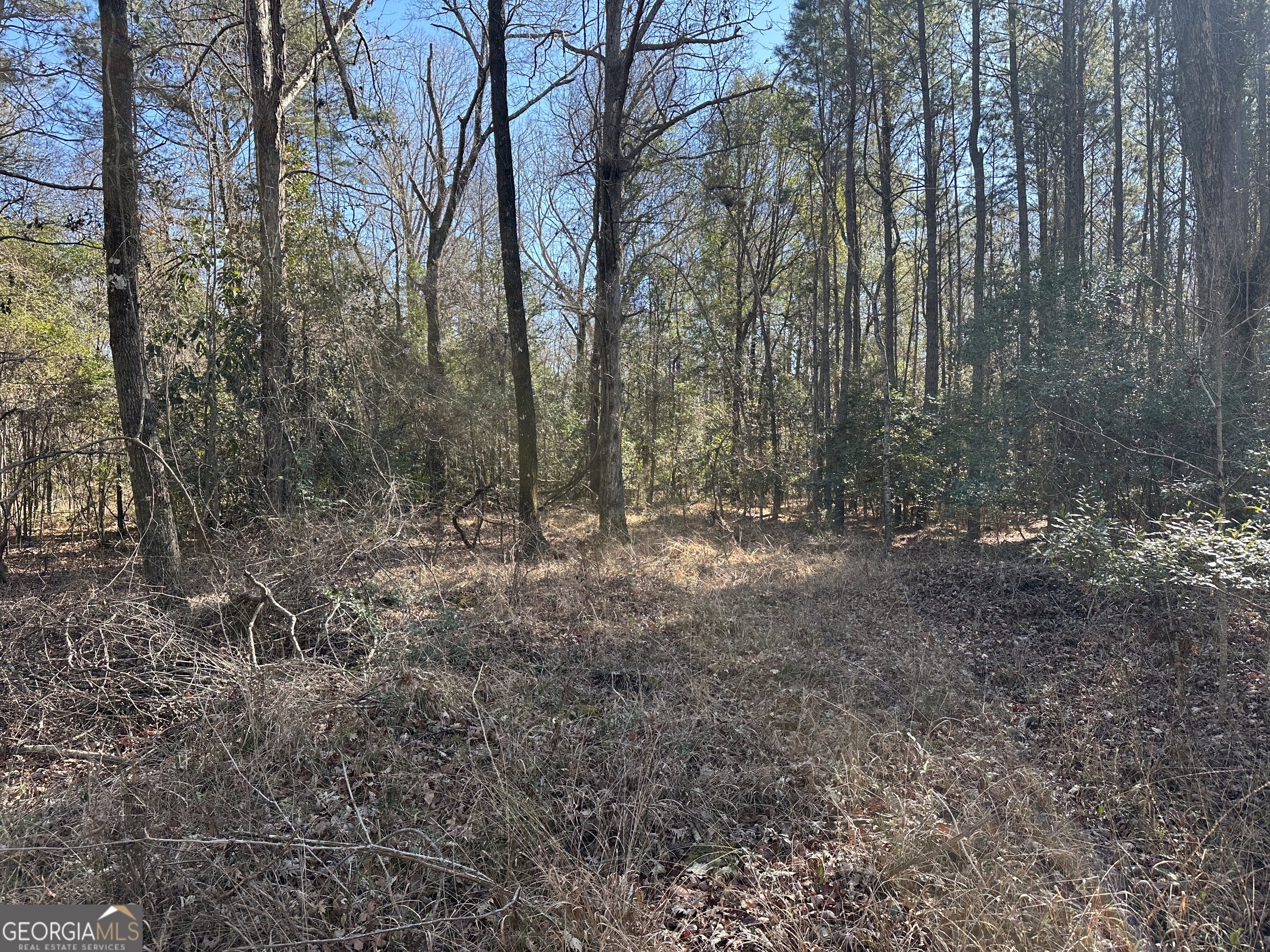 0 Hiltonia-Perkins Road Sylvania, GA 30467 - Photo 15 of 26 a view of outdoor space and green space
