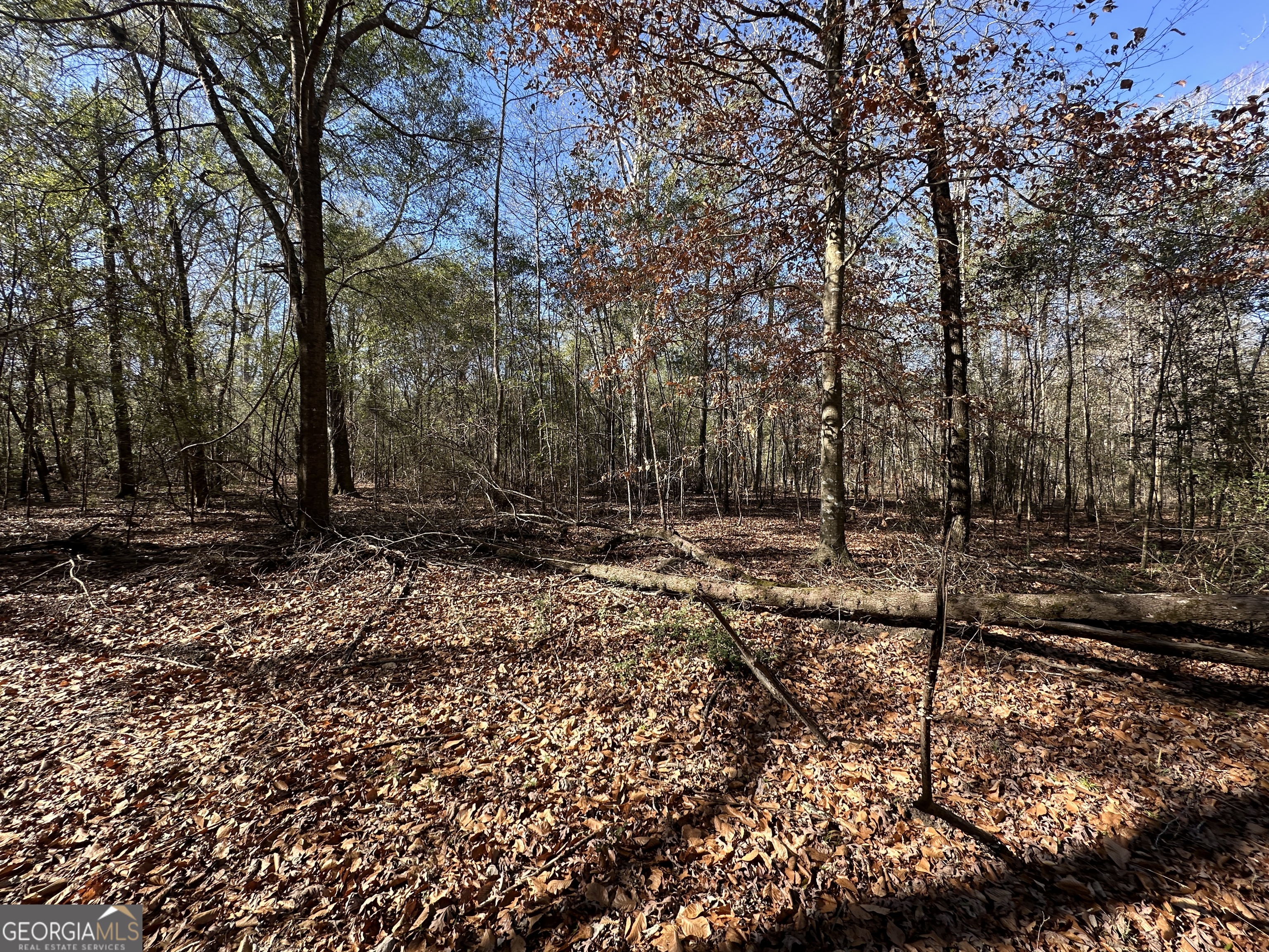 0 Hiltonia-Perkins Road Sylvania, GA 30467 - Photo 17 of 26 a view of backyard with green space