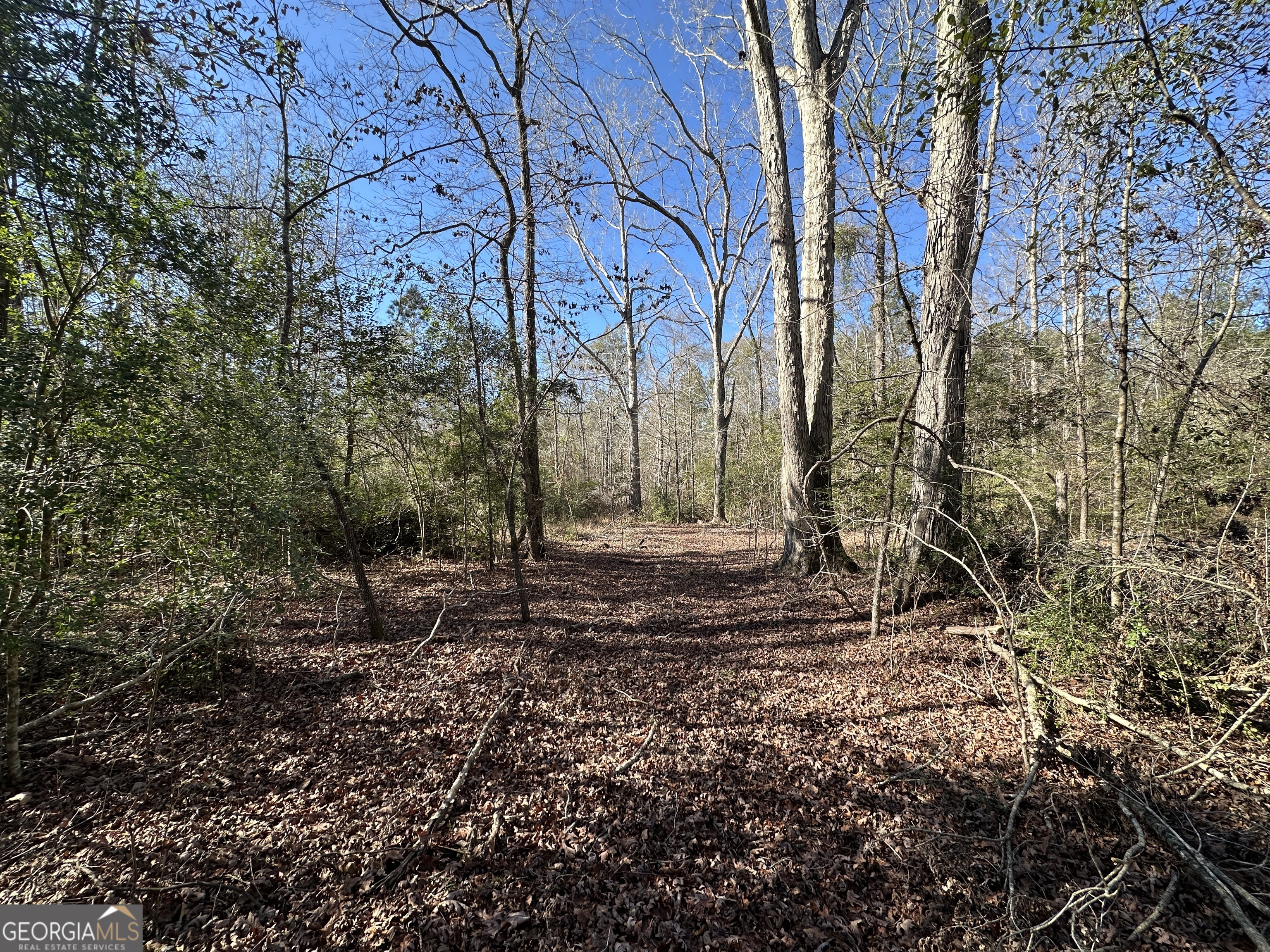 0 Hiltonia-Perkins Road Sylvania, GA 30467 - Photo 18 of 26 a backyard of a house with lots of green space