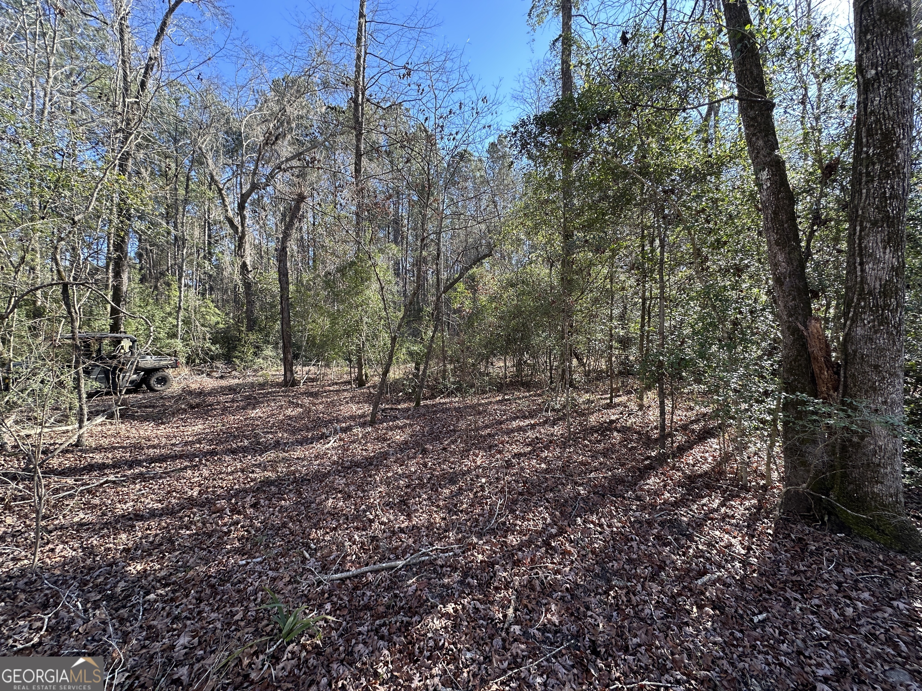 0 Hiltonia-Perkins Road Sylvania, GA 30467 - Photo 19 of 26 a view of a forest with trees