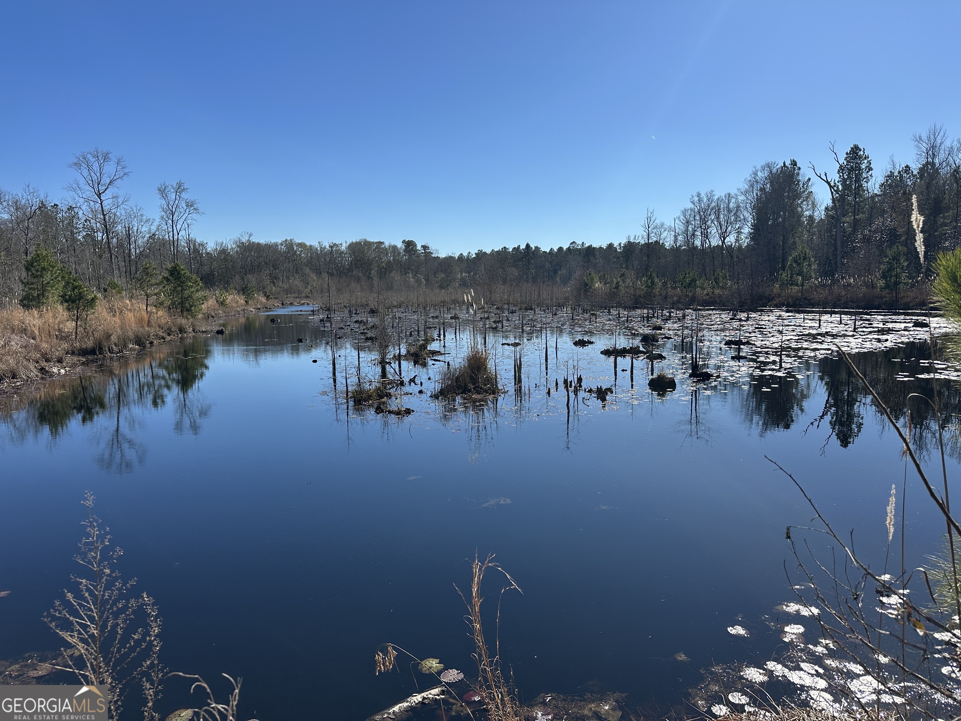 0 Hiltonia-Perkins Road Sylvania, GA 30467 - Photo 22 of 26 a view of lake with mountain