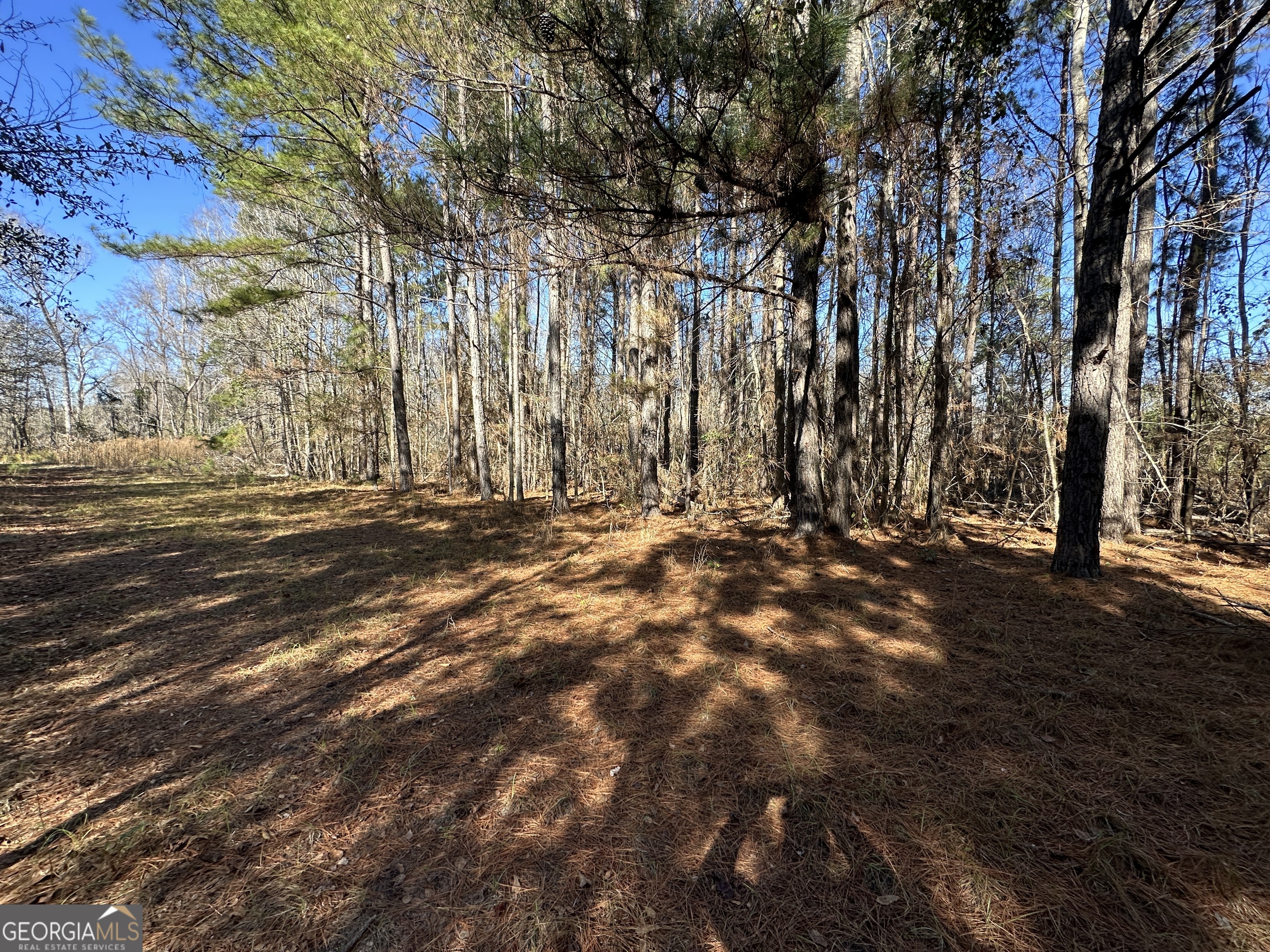 0 Hiltonia-Perkins Road Sylvania, GA 30467 - Photo 23 of 26 a view of outdoor space with trees
