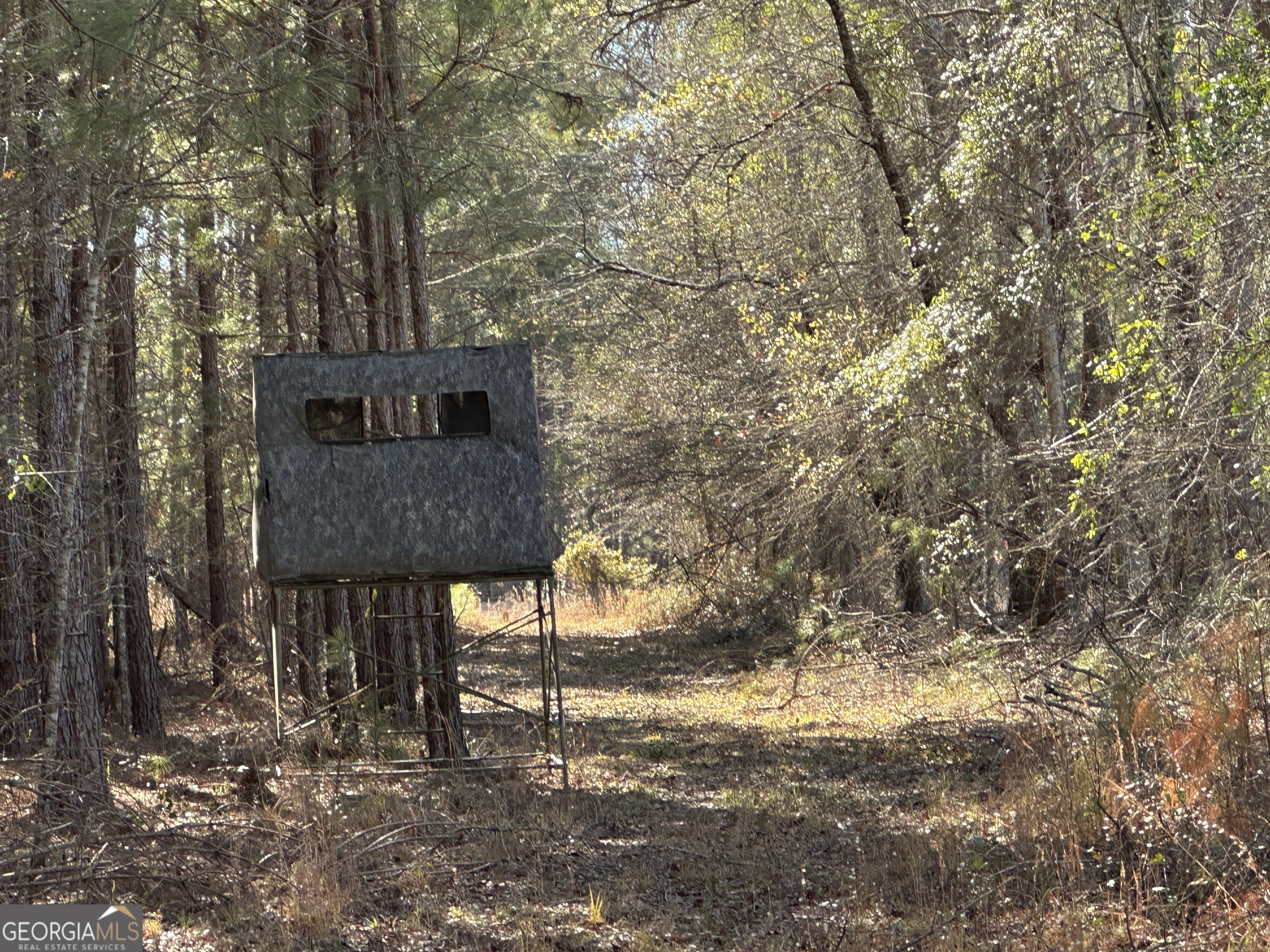 0 Hiltonia-Perkins Road Sylvania, GA 30467 - Photo 25 of 26 a view of a wooden house with large trees