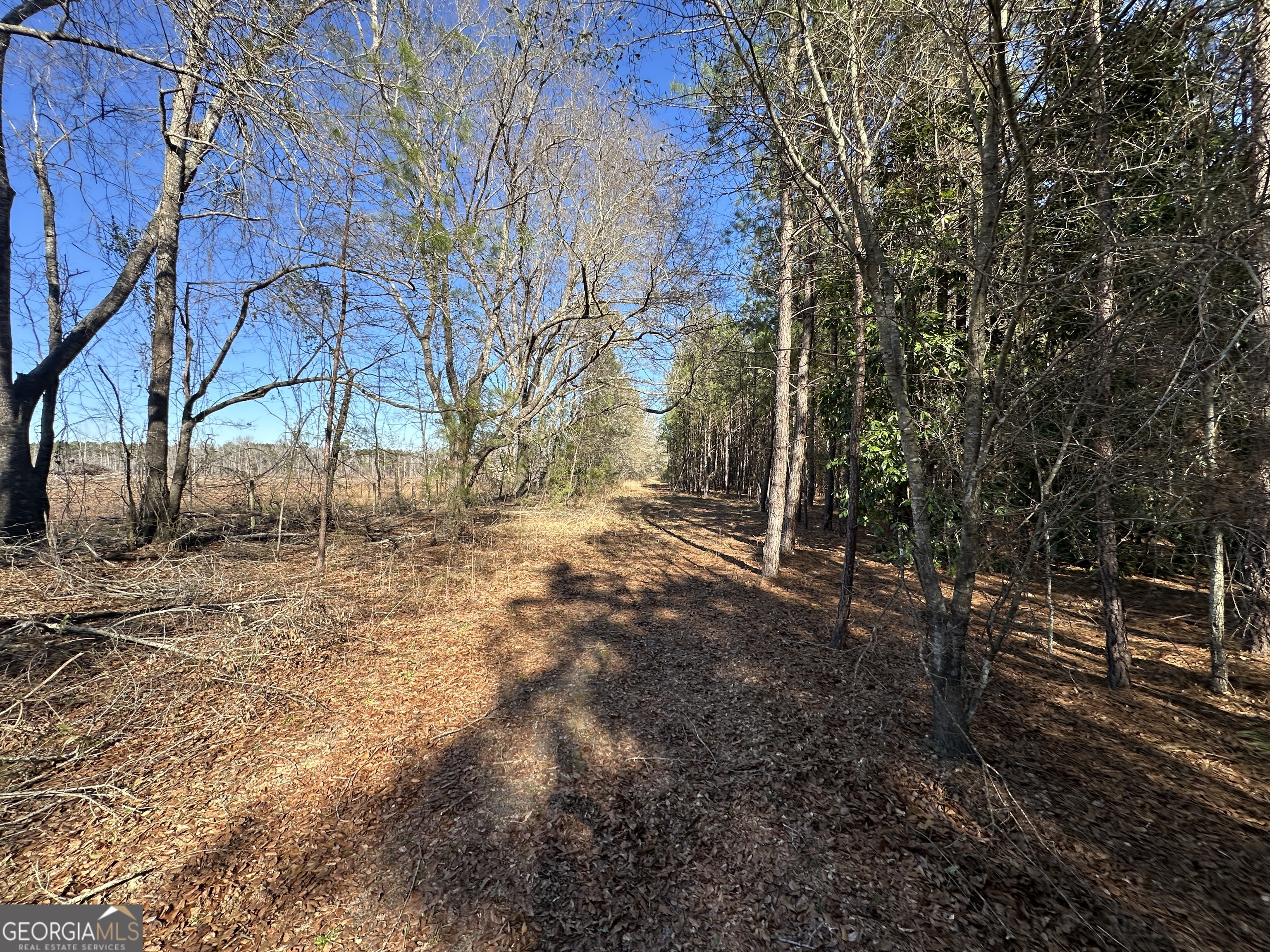 0 Hiltonia-Perkins Road Sylvania, GA 30467 - Photo 26 of 26 a view of yard with trees
