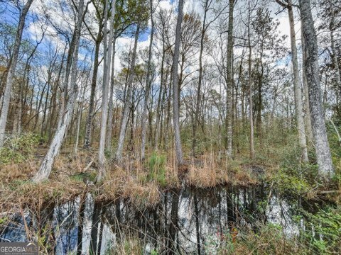 0 Hiltonia-Perkins Road Sylvania, GA 30467 - Photo 3 of 26