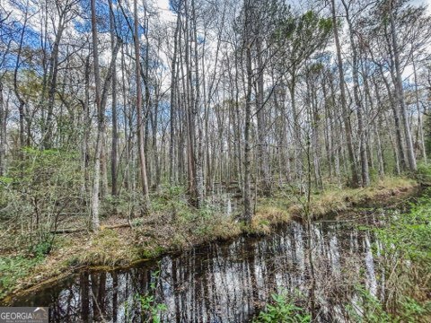 0 Hiltonia-Perkins Road Sylvania, GA 30467 - Photo 4 of 26 a view of a forest with trees and bushes