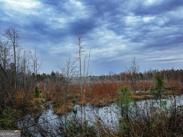 0 Hiltonia-Perkins Road Sylvania, GA 30467 - Photo 5 of 26 a view of lake and mountain view