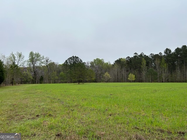 0 Hiltonia-Perkins Road Sylvania, GA 30467 - Photo 6 of 26 a view of field with trees in the background