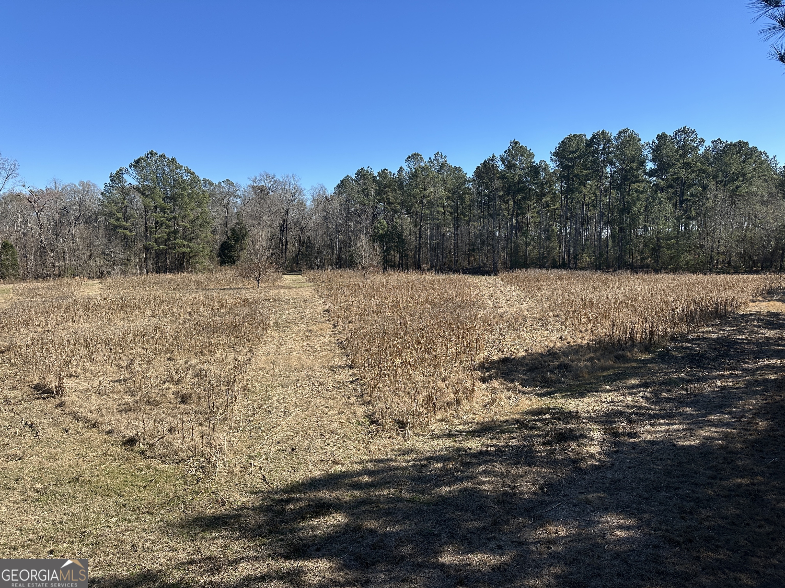 0 Hiltonia-Perkins Road Sylvania, GA 30467 - Photo 7 of 26 a view of ocean view with beach
