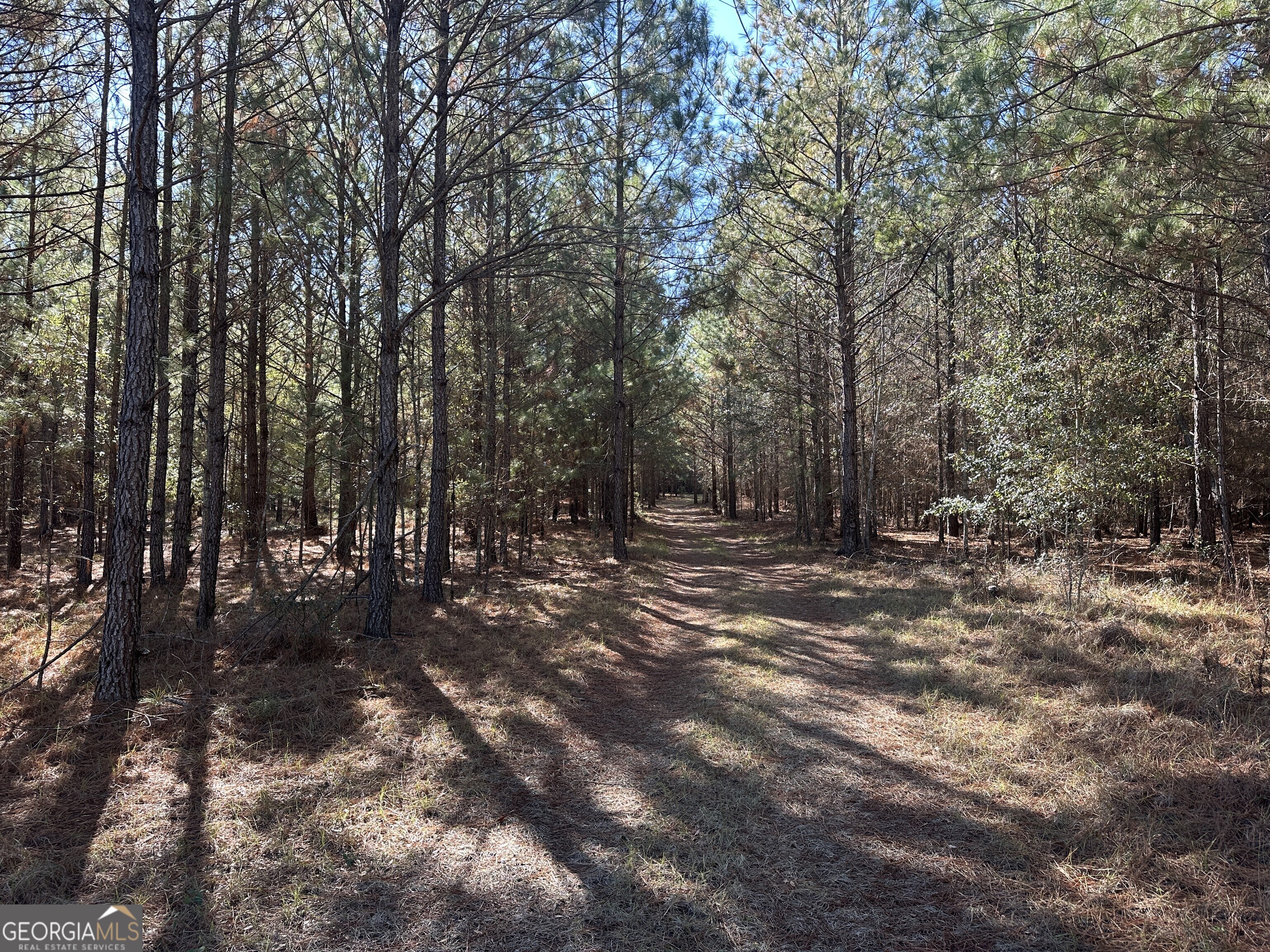 0 Hiltonia-Perkins Road Sylvania, GA 30467 - Photo 8 of 26 a view of outdoor space with trees