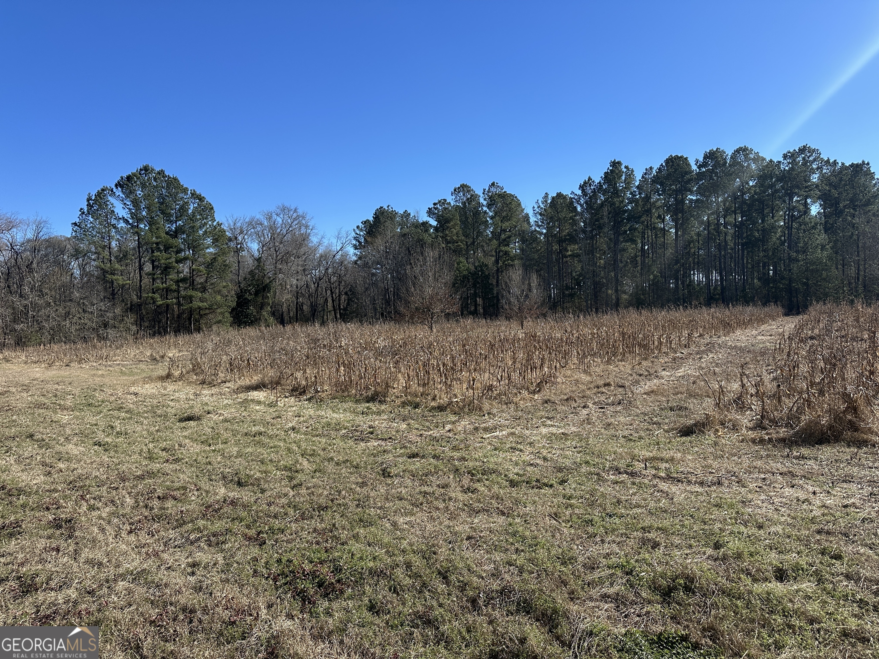 0 Hiltonia-Perkins Road Sylvania, GA 30467 - Photo 10 of 26 a view of a lake view