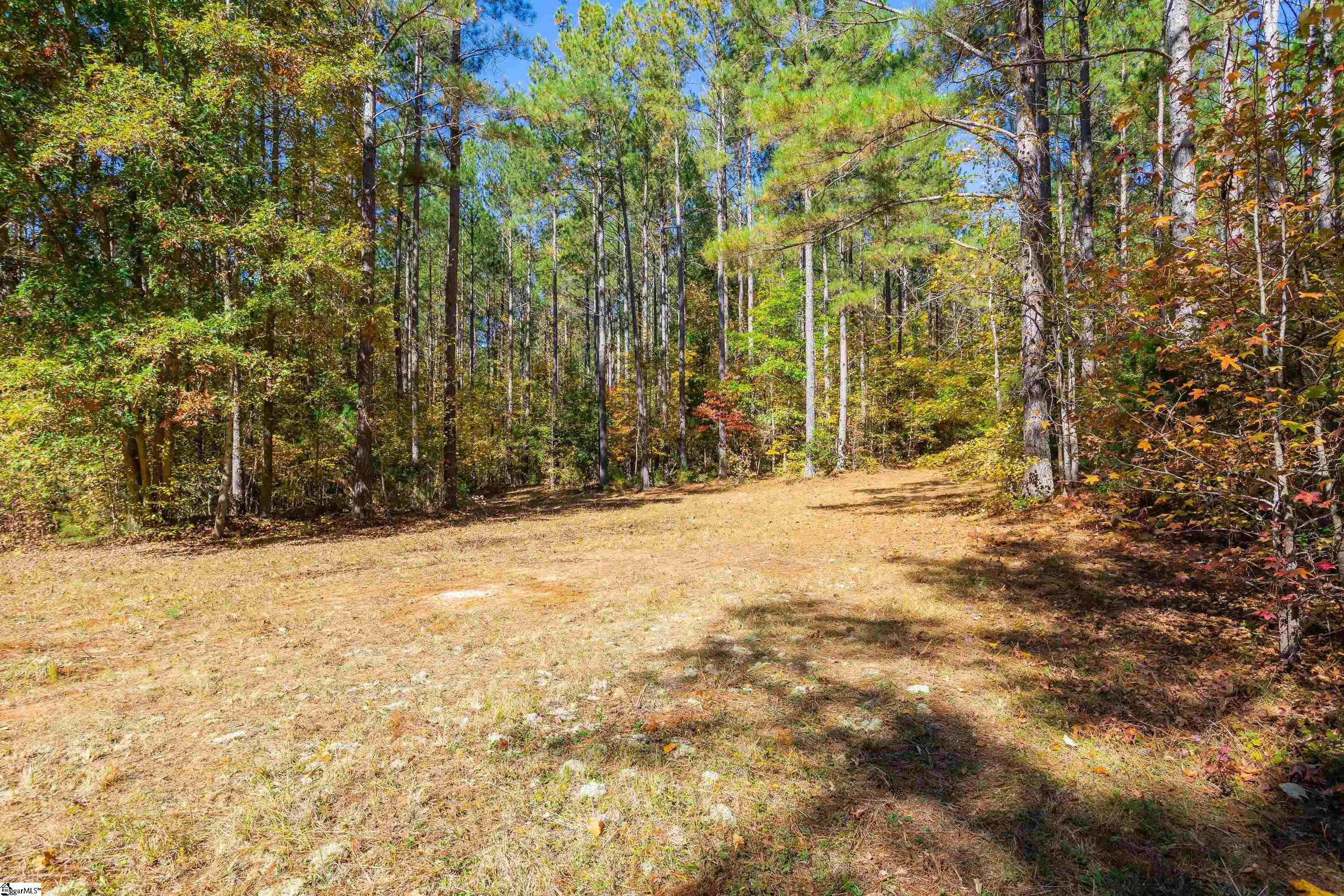 0 Franklin Finley Road, Unit LOT 10 Easley, SC 29640 - Photo 13 of 28 Gallery Image 13