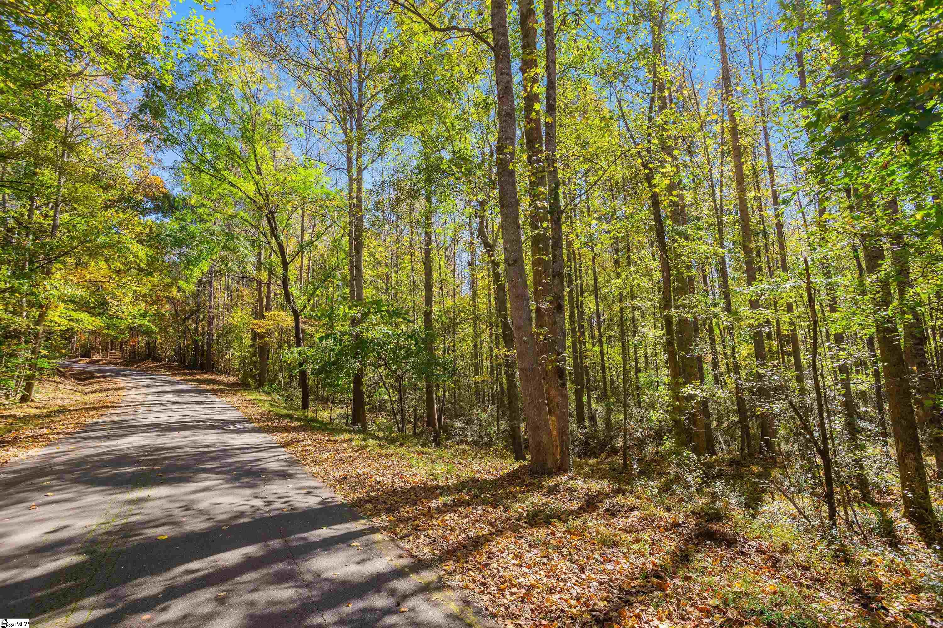 0 Franklin Finley Road, Unit LOT 10 Easley, SC 29640 - Photo 14 of 28 Gallery Image 14