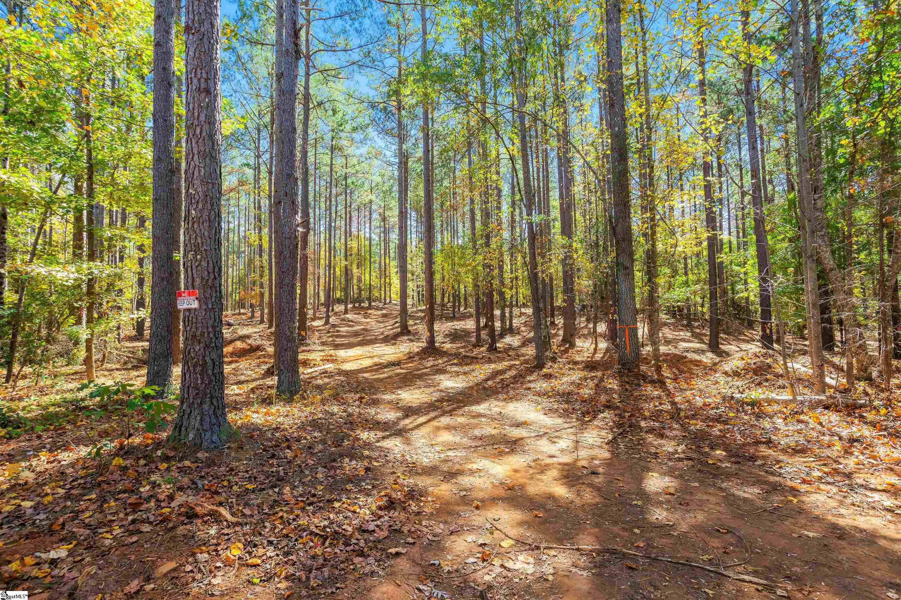 0 Franklin Finley Road, Unit LOT 10 Easley, SC 29640 - Photo 15 of 28 Gallery Image 15