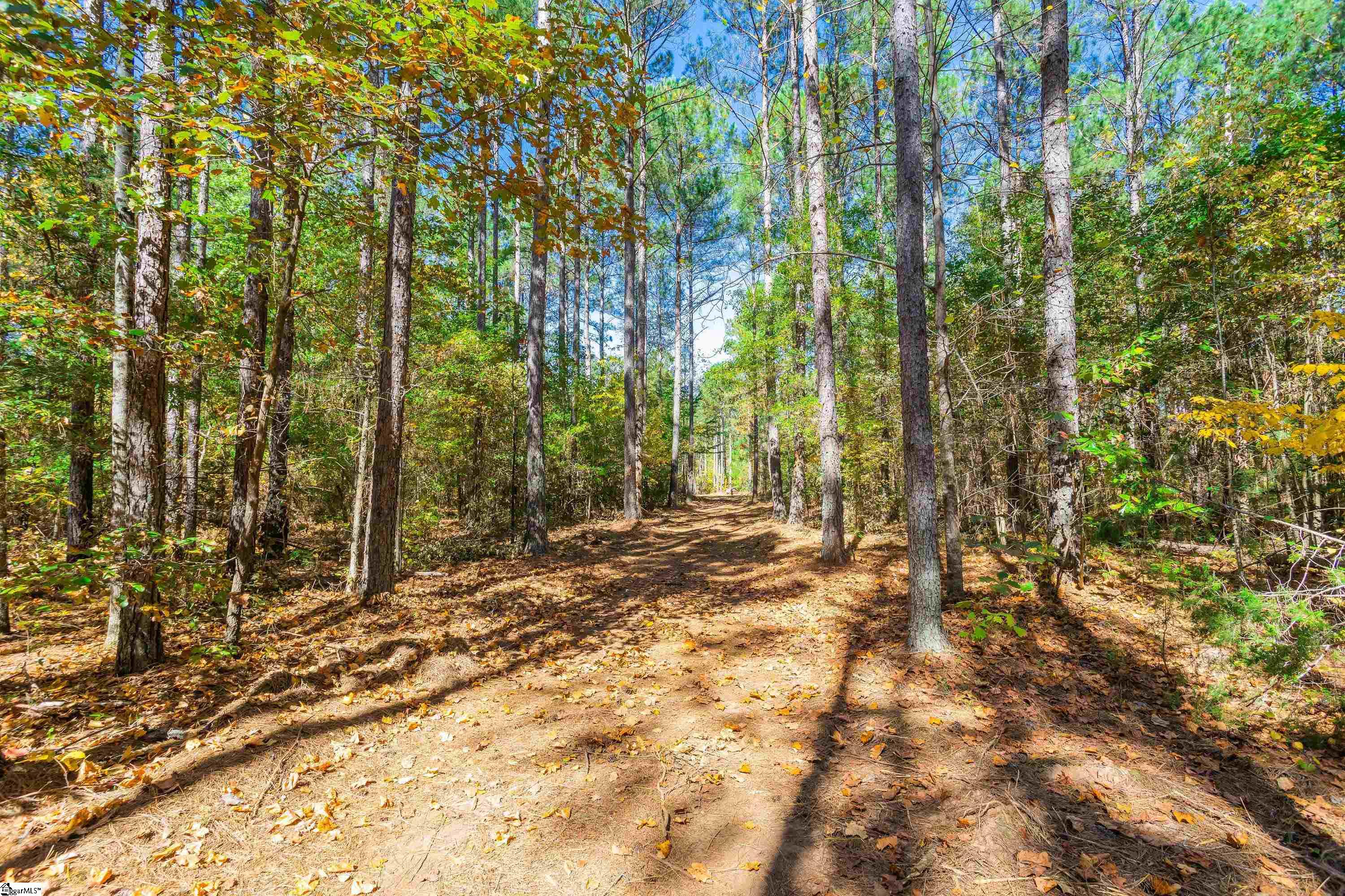 0 Franklin Finley Road, Unit LOT 10 Easley, SC 29640 - Photo 17 of 28 Gallery Image 17