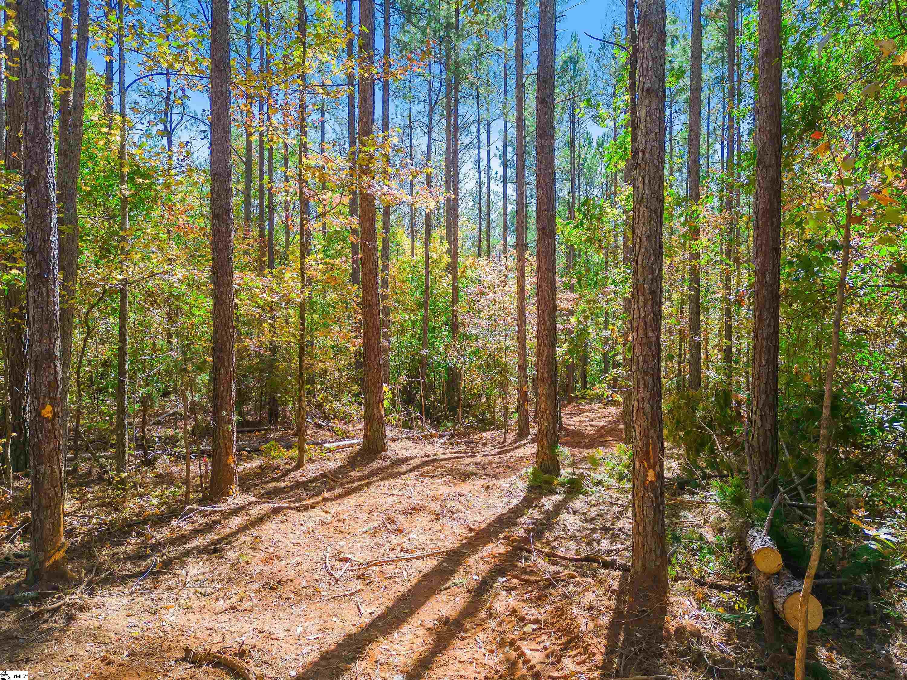 0 Franklin Finley Road, Unit LOT 10 Easley, SC 29640 - Photo 28 of 28 Gallery Image 28