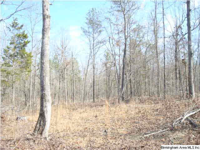 1180 Thompson Road, Unit 39 ACRES Ohatchee, AL 36271 - Photo 11 of 16