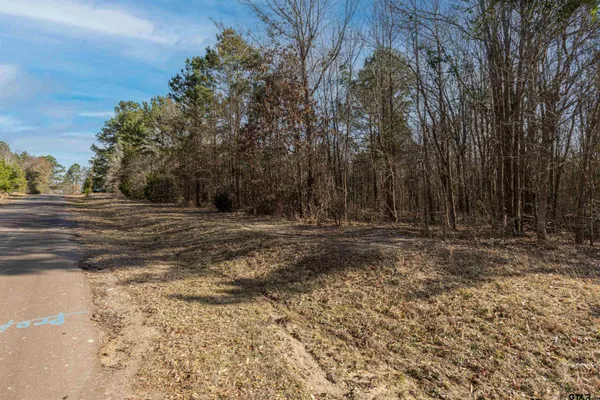 $218,900 | 16682 County Road 367, Winona, TX 75792