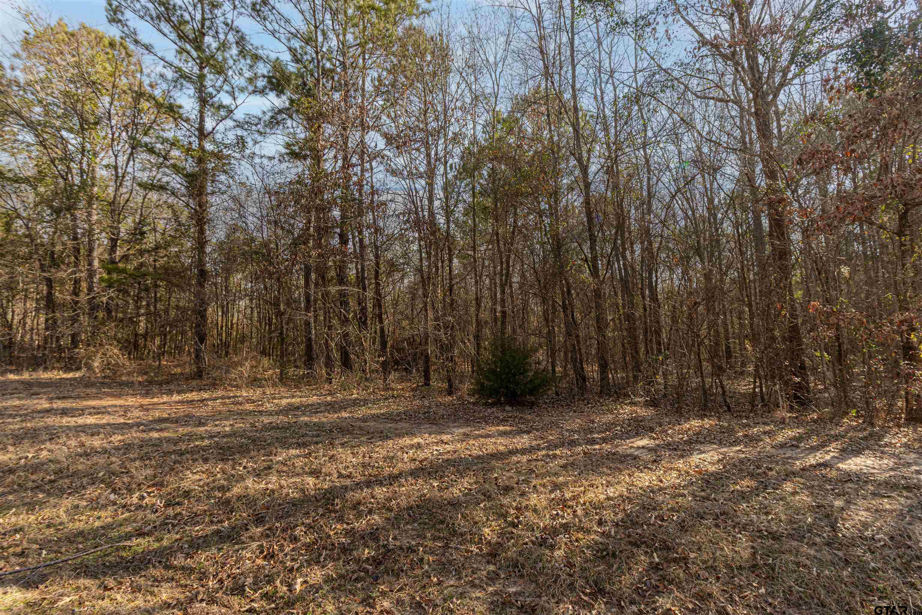 16682 County Road 367 Winona, TX 75792 - Photo 2 of 6 a view of outdoor space with trees