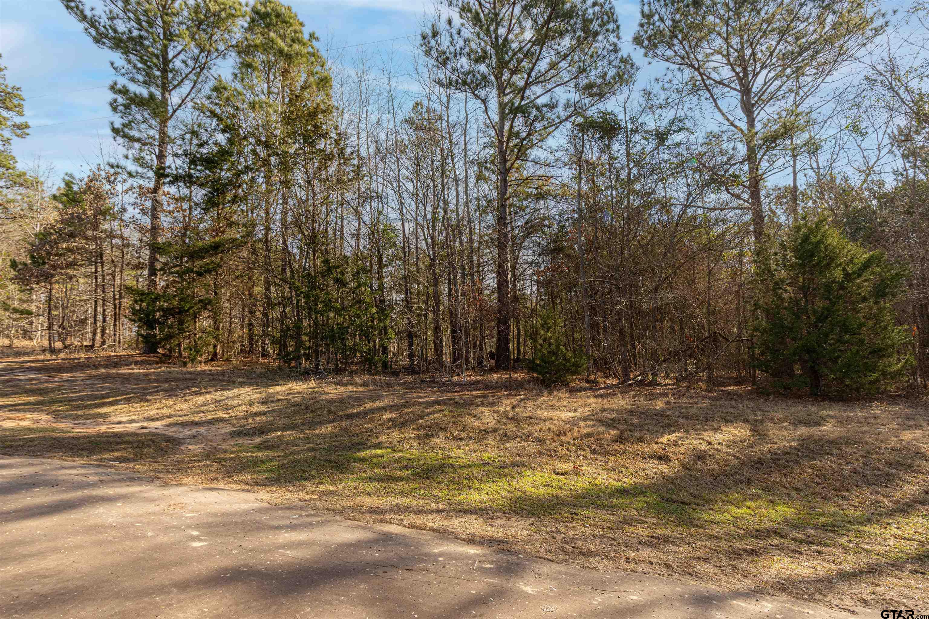 16682 County Road 367 Winona, TX 75792 - Photo 3 of 6 a view of empty space with trees