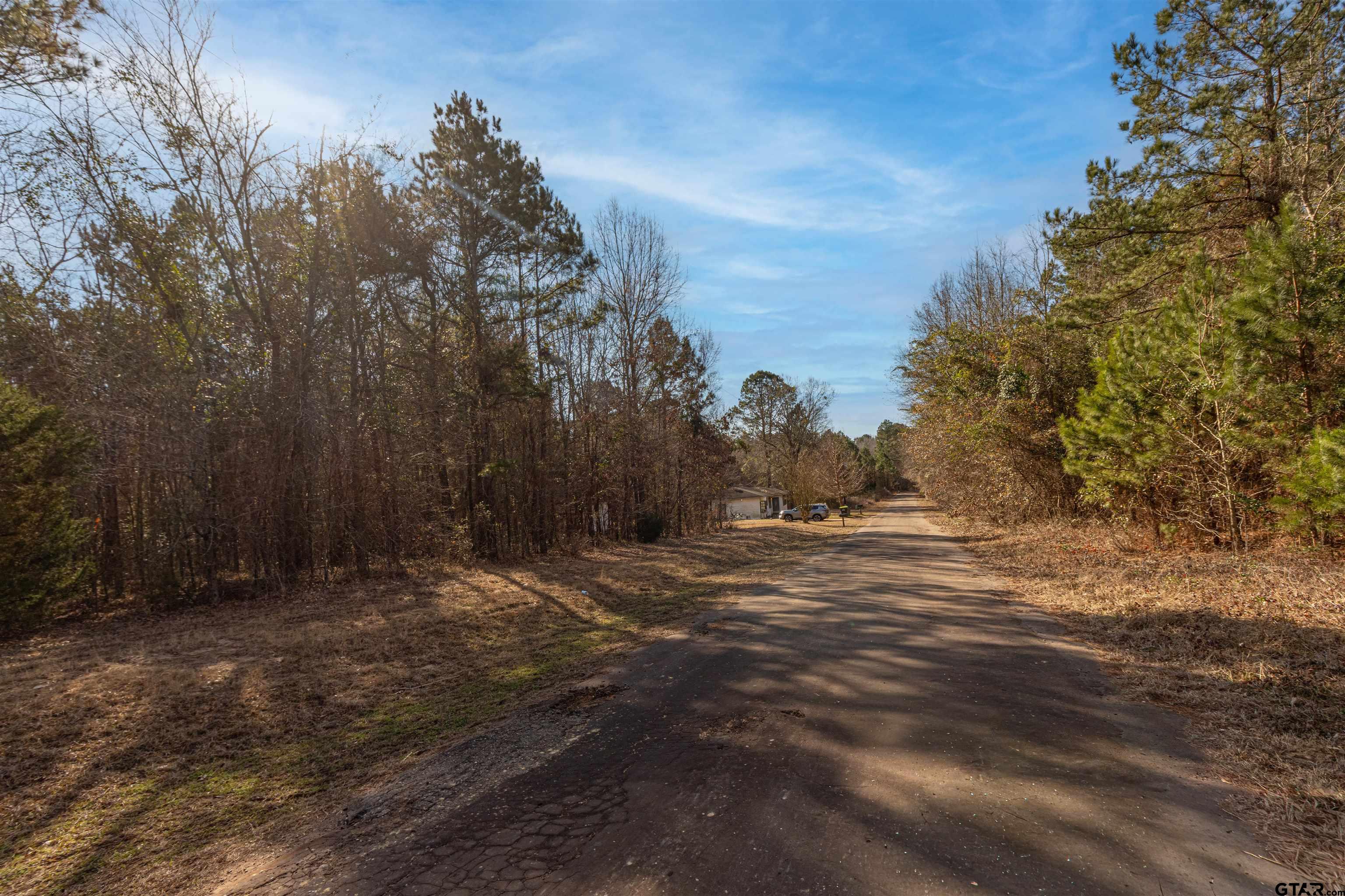 16682 County Road 367 Winona, TX 75792 - Photo 4 of 6 a view of a field with trees in the background