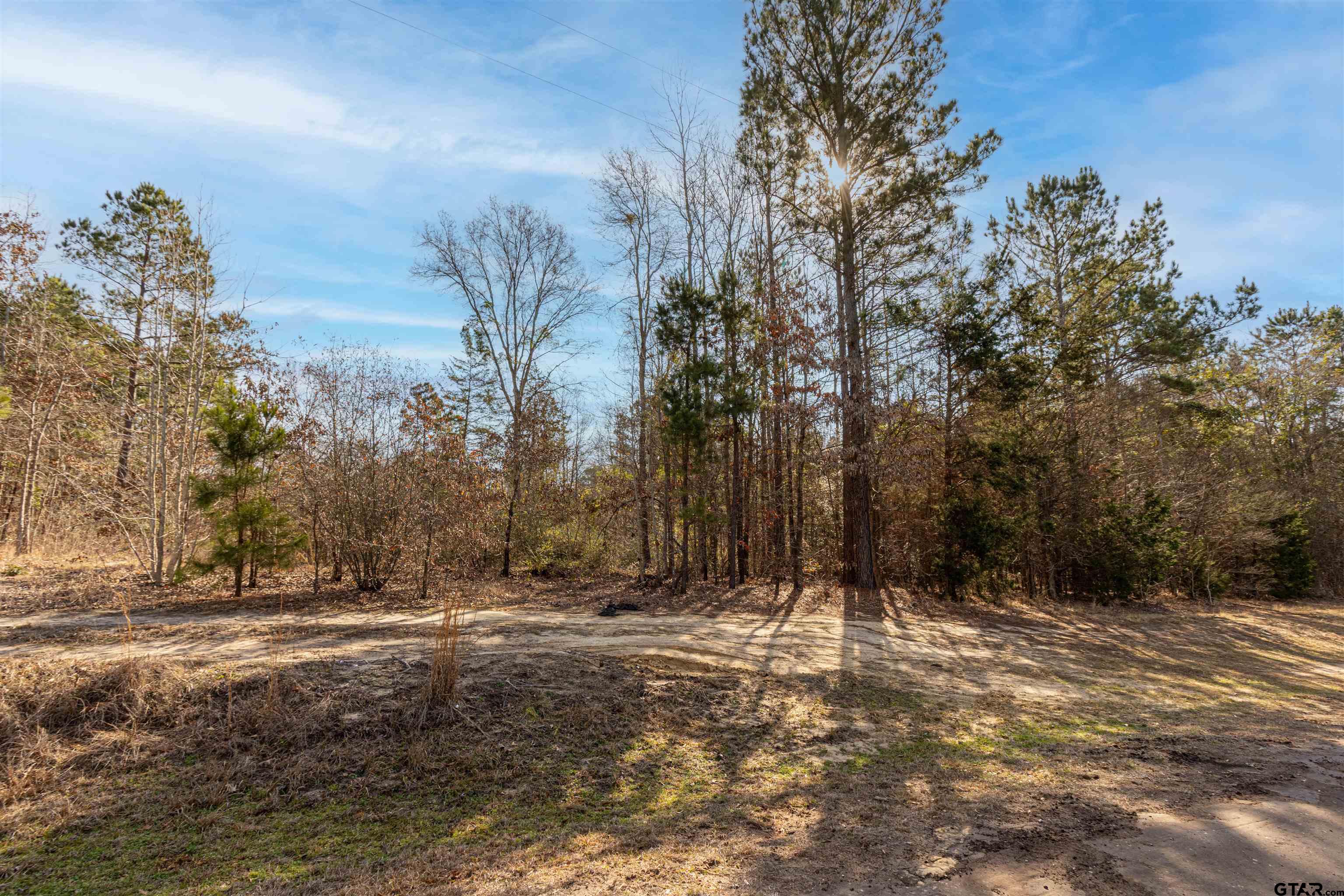 16682 County Road 367 Winona, TX 75792 - Photo 5 of 6 a view of outdoor space with trees