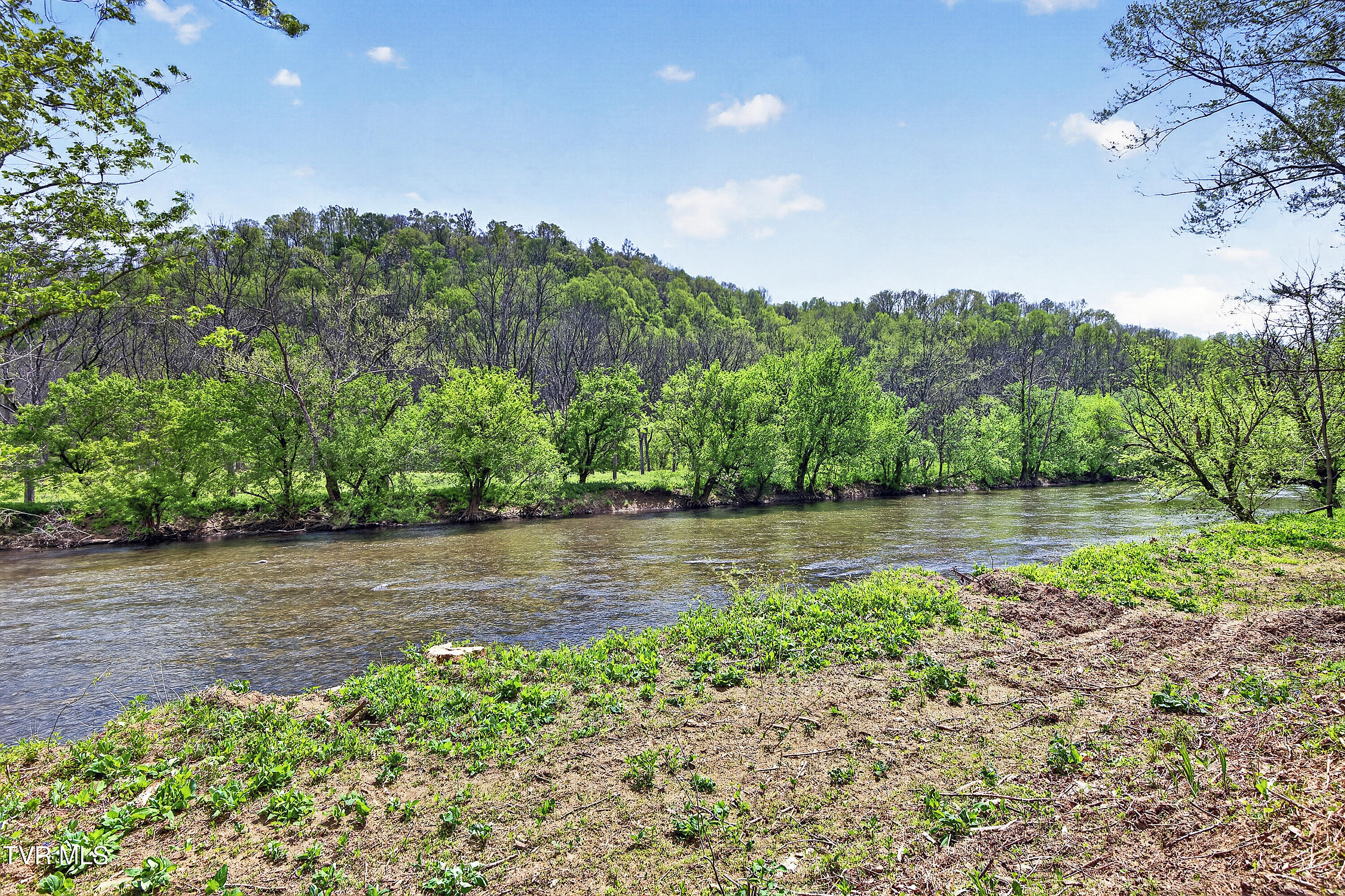 24327 North Fork River Road Abingdon, VA 24210 - Photo 61 of 70 RIVERSIDE