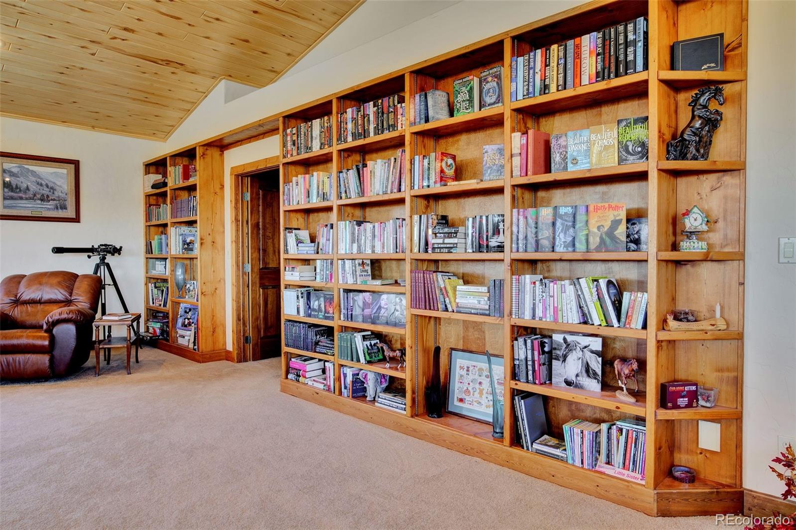 400 Copper Canyon Road Canon City, CO 81212 - Photo 25 of 50 a view of room with furniture and book shelf