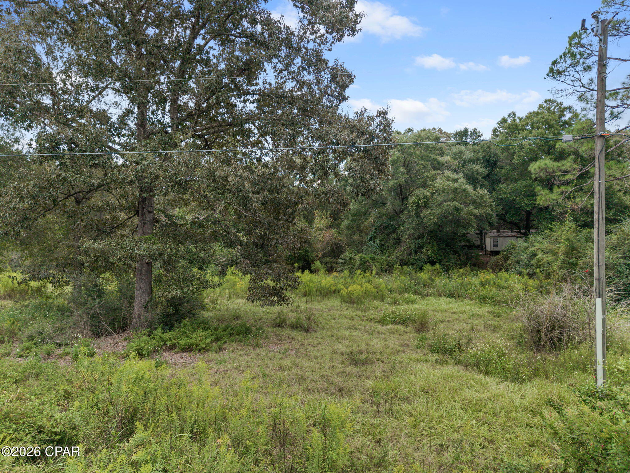 Xxx Everly Road Bonifay, FL 32425 - Photo 5 of 9 Gallery Image 5