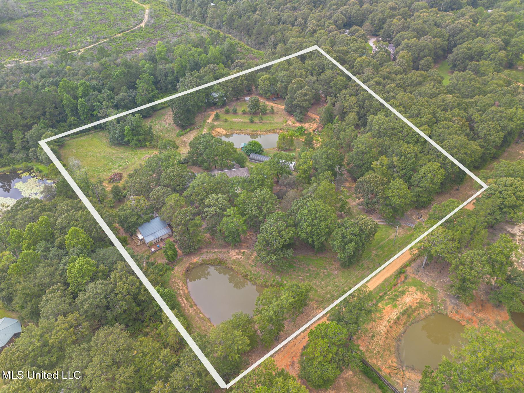 42 Boone Road Perkinston, MS 39573 - Photo 75 of 76 42-5s